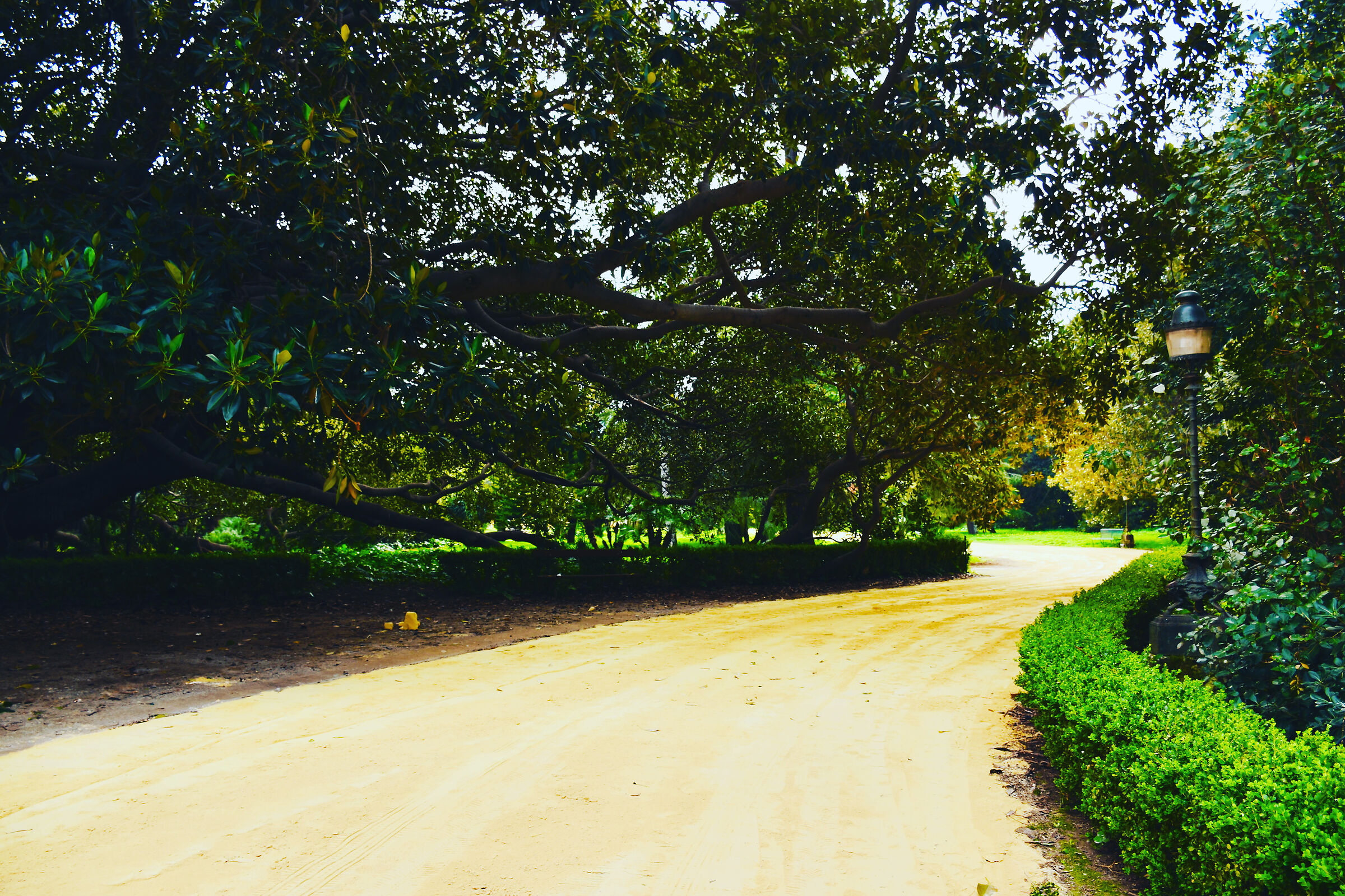 Verso la città di Smeraldo