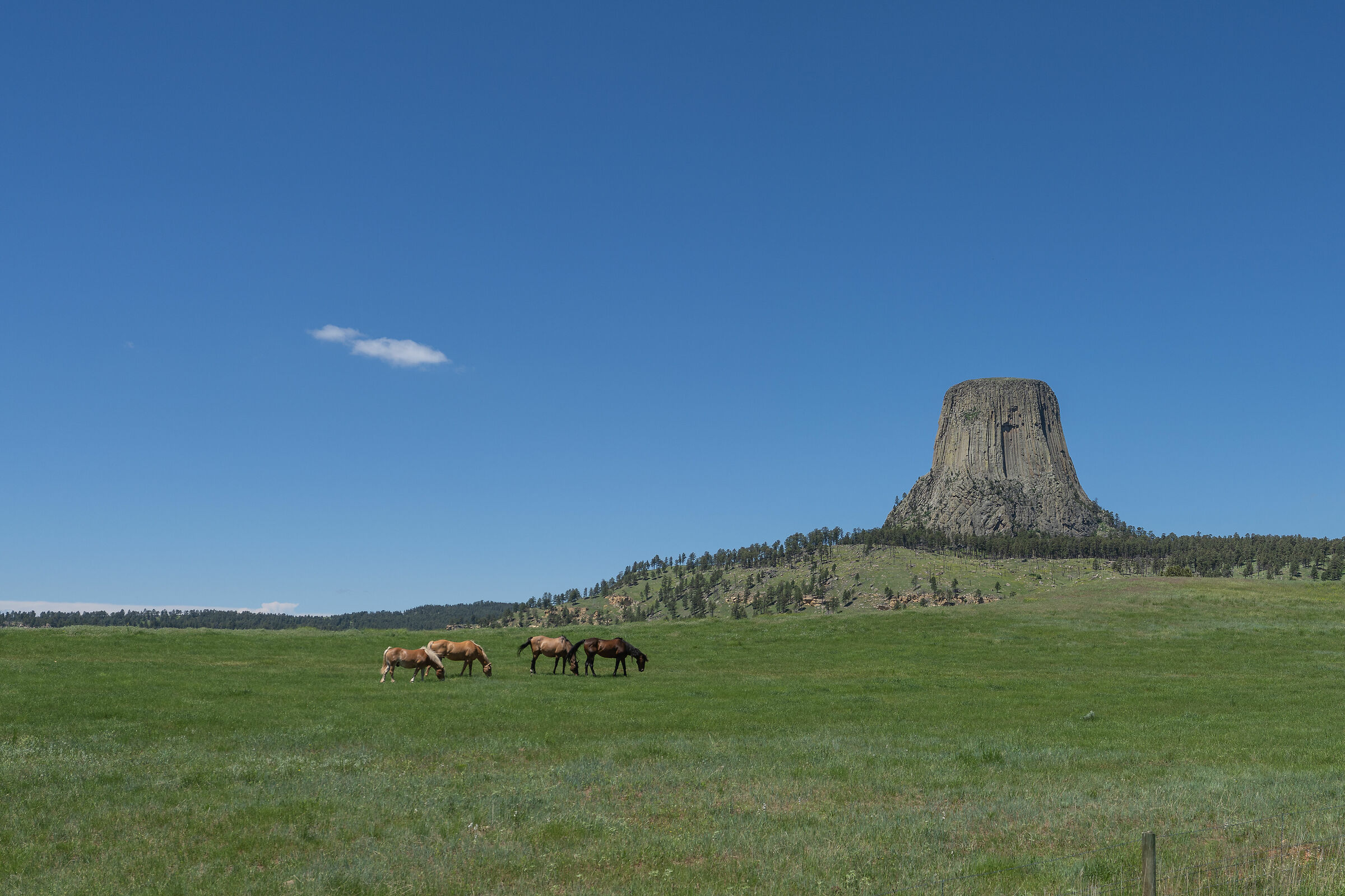 DEVILS TOWER