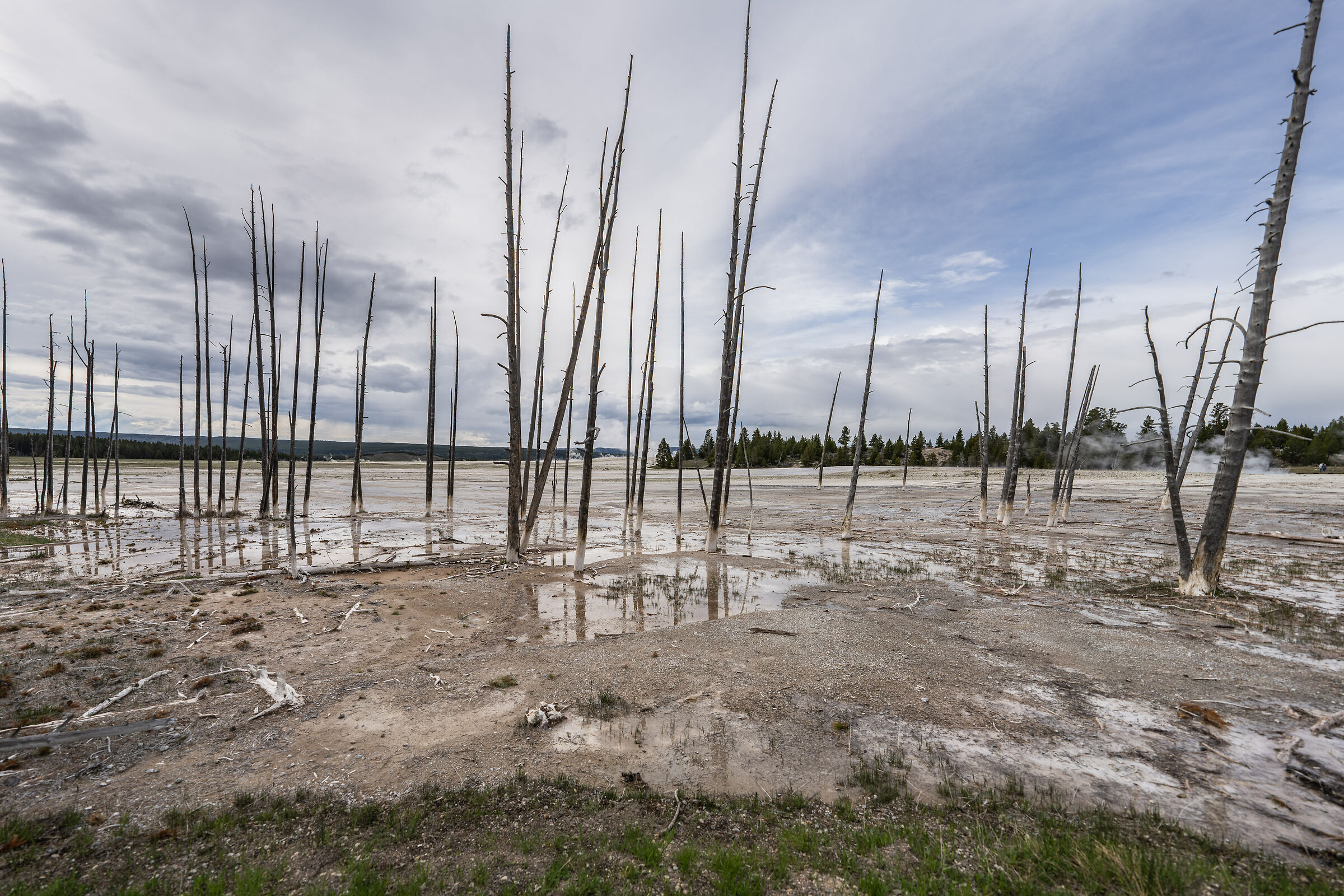 YELLOWSTONE GEYSERS