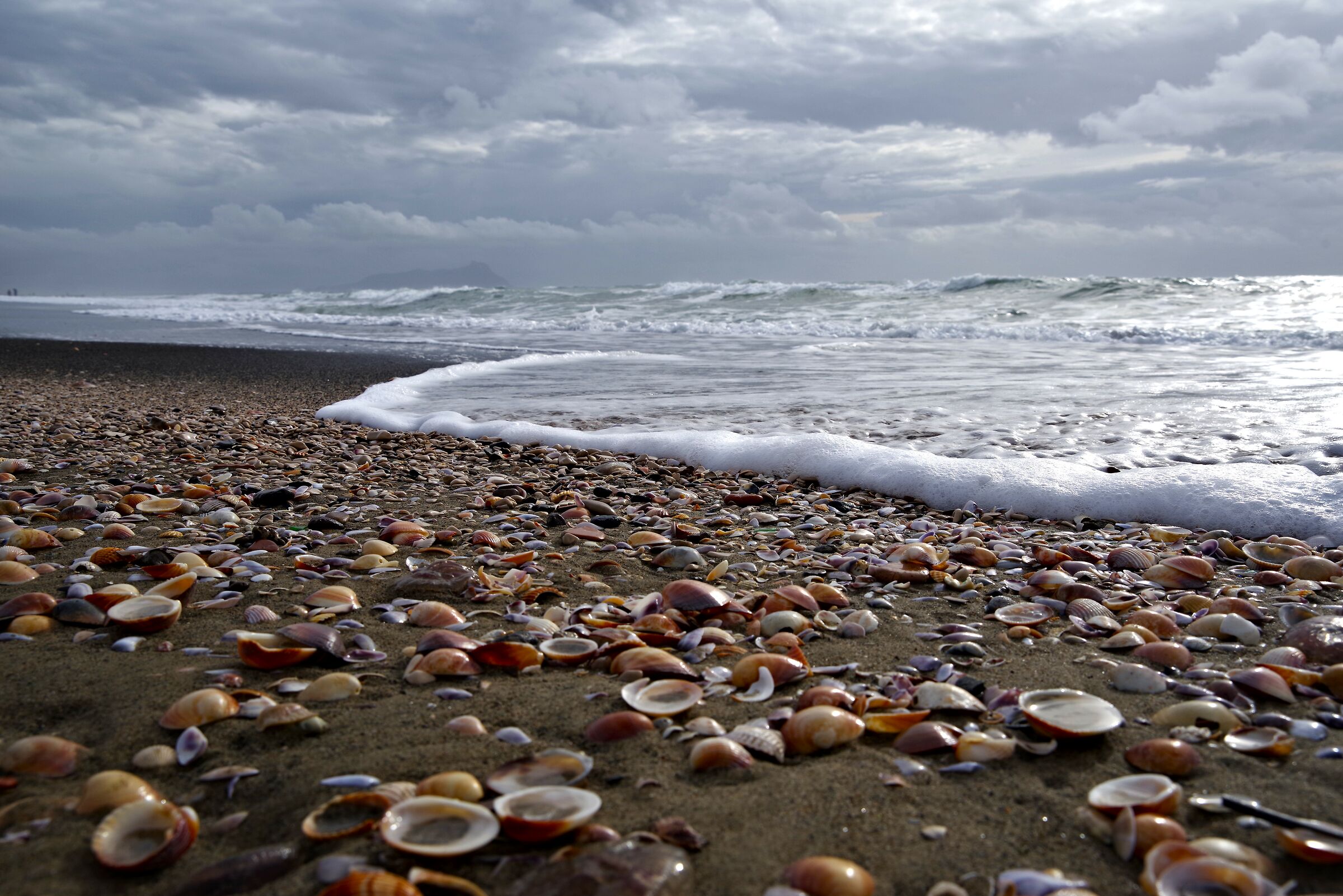 Primo Gennaio 2024 al mare a Latina