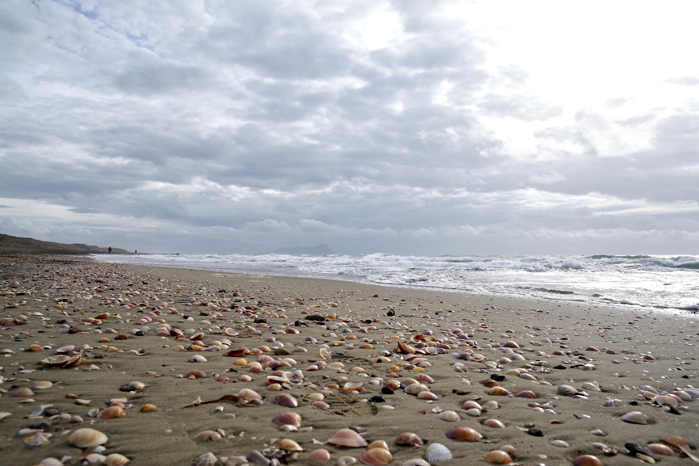 Primo Gennaio 2024 al mare a Latina