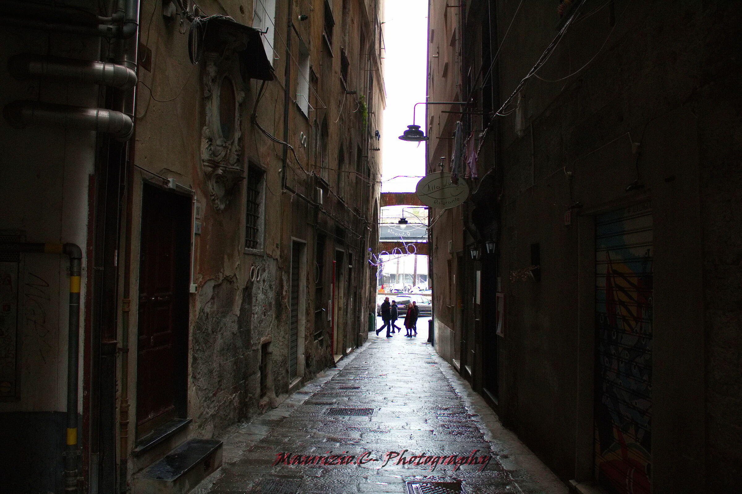 Untitled Photo