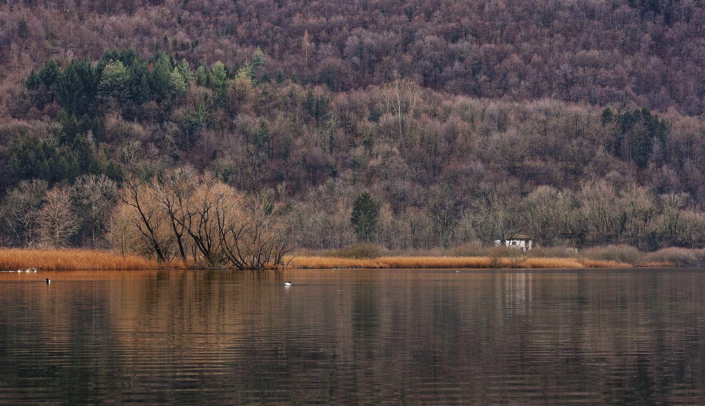 Winter at the Piano lake