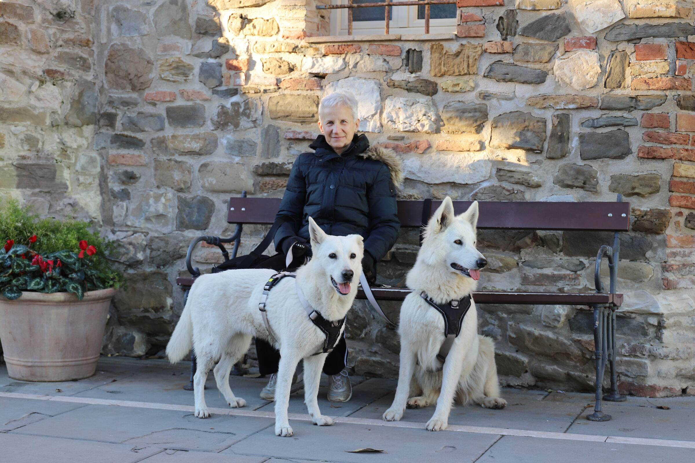 Joy & Belle walking around Grado
