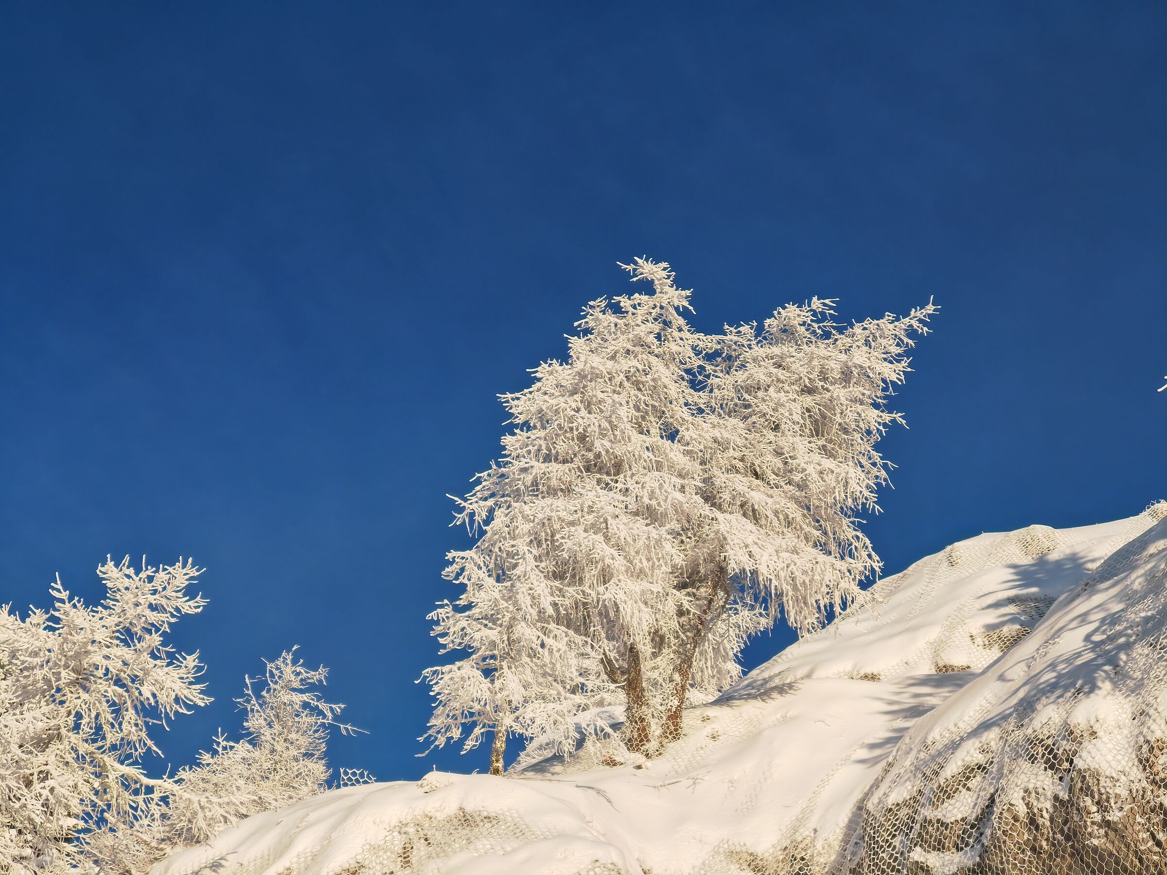 First snow