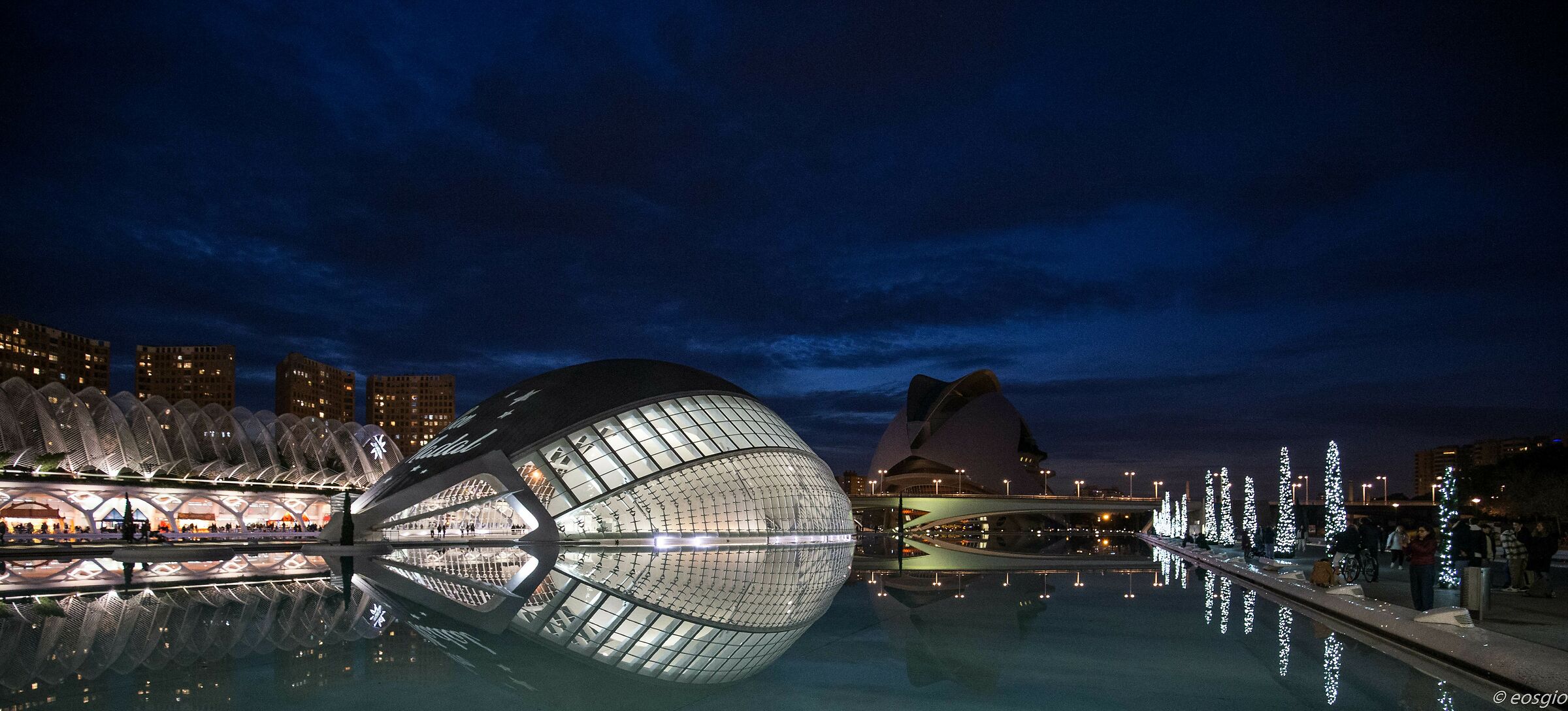 Museo Delle Scienze 1