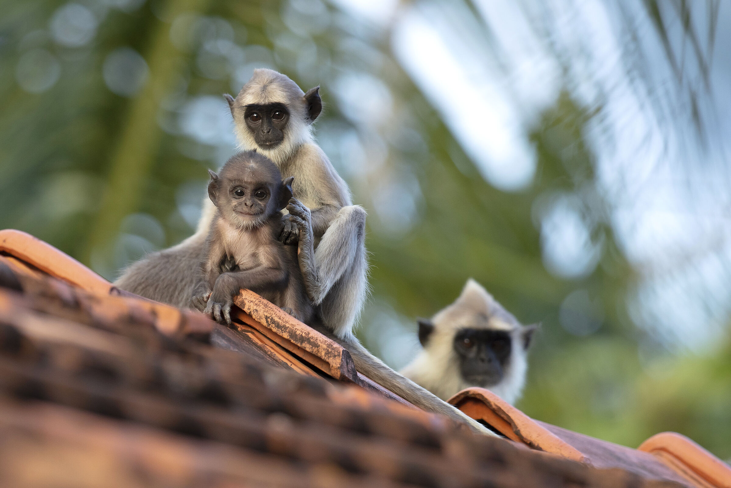 Sono così felice di vederti