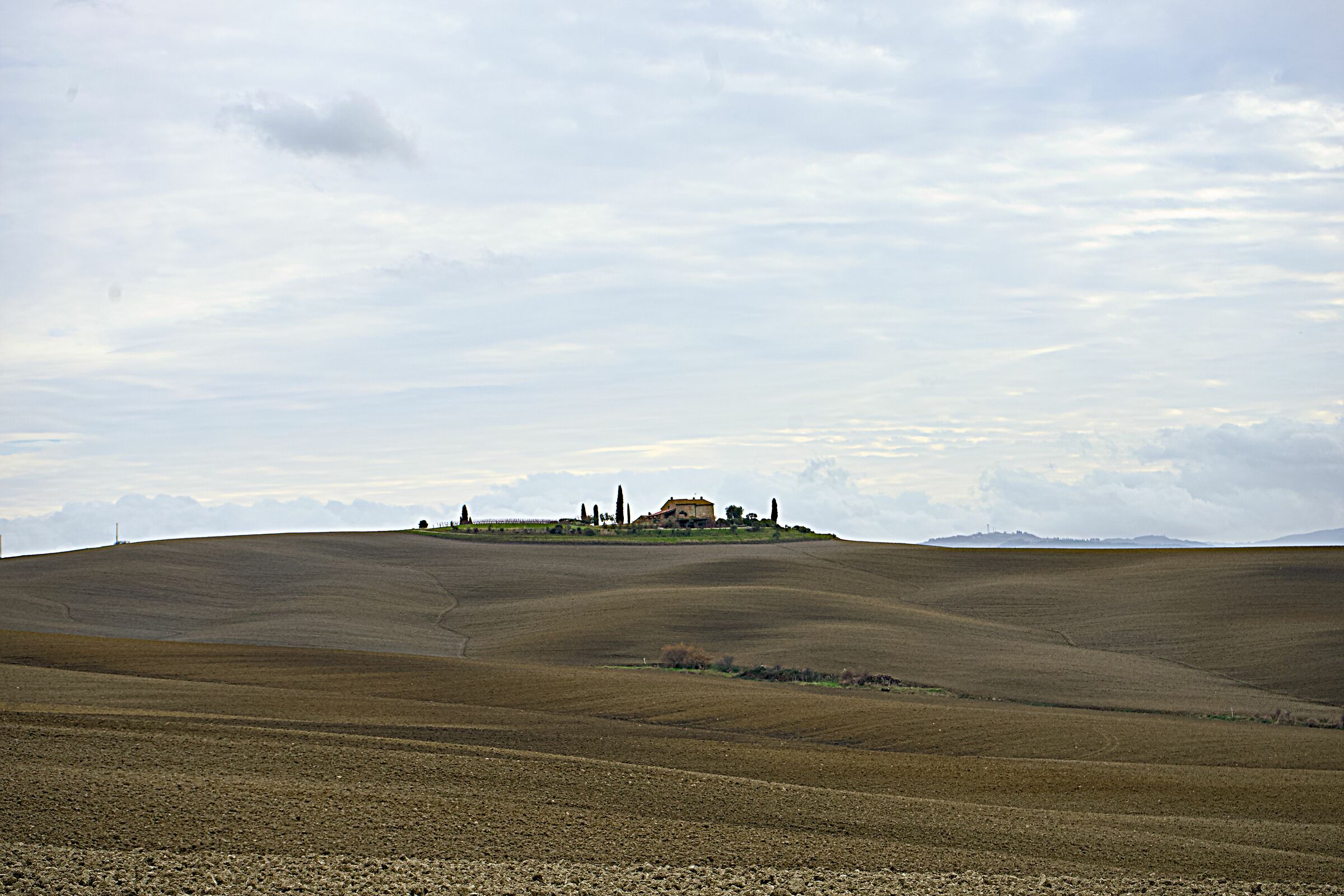 Untitled Photo