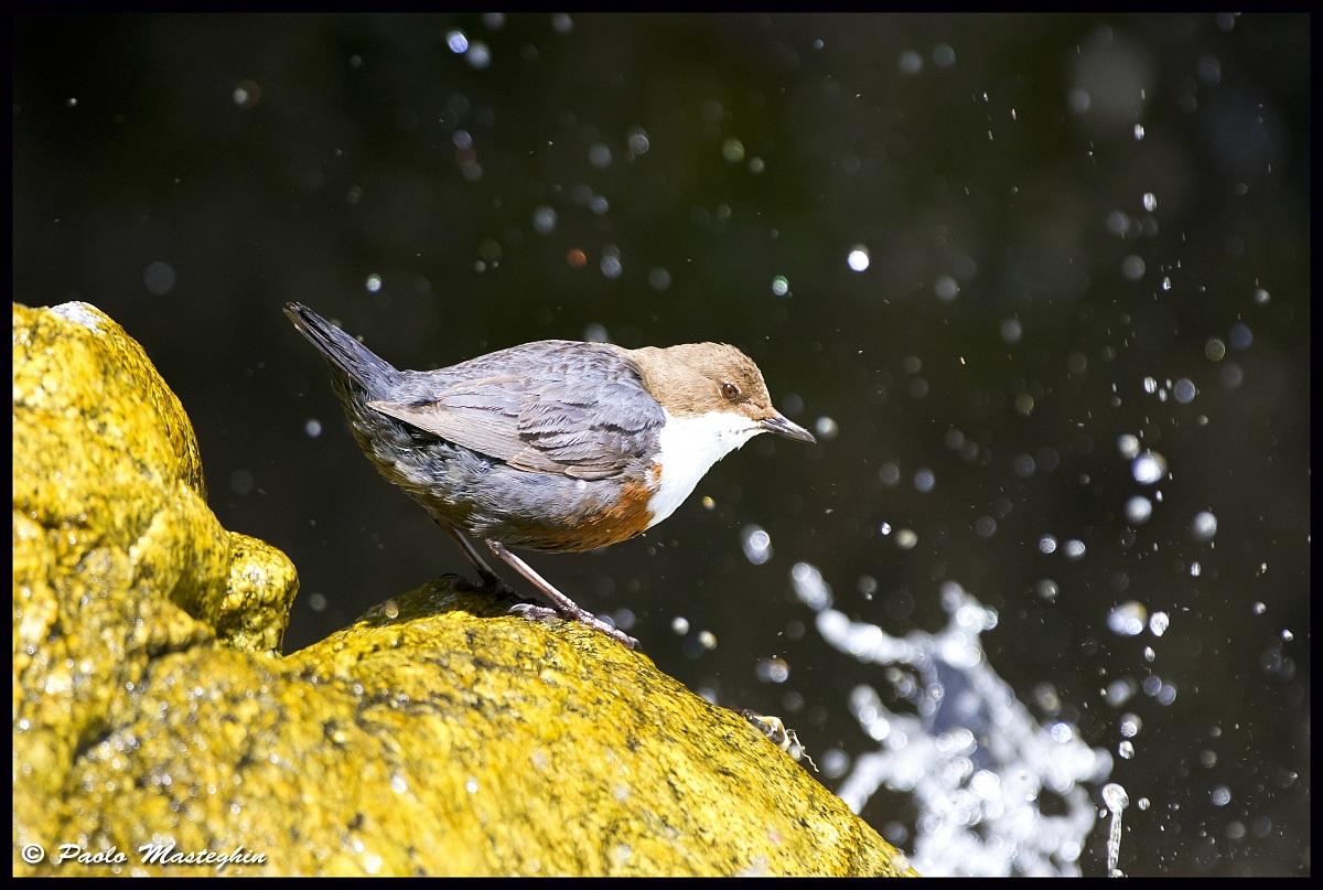 Pronto per i flutti....