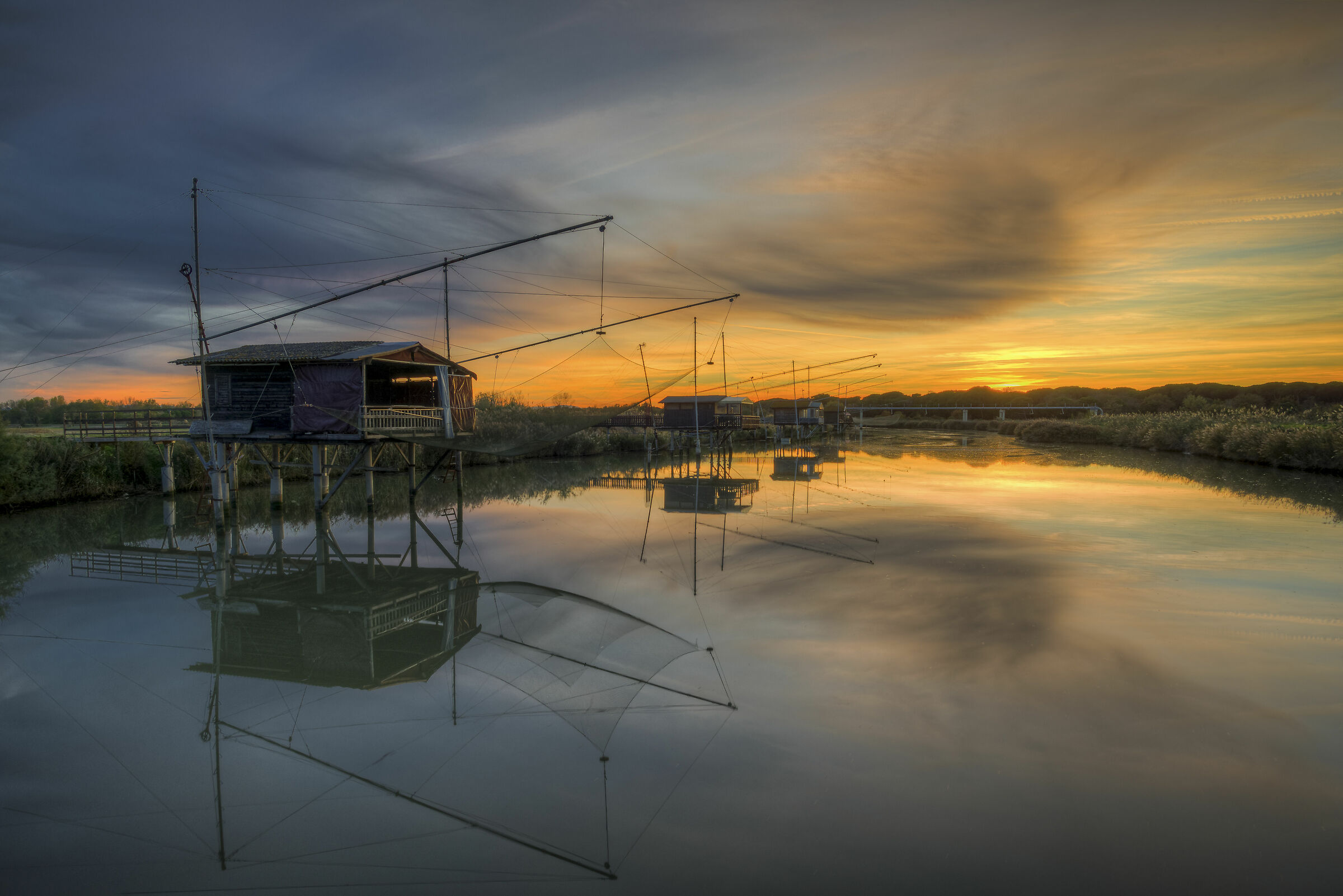 Duna costiera Ravennate