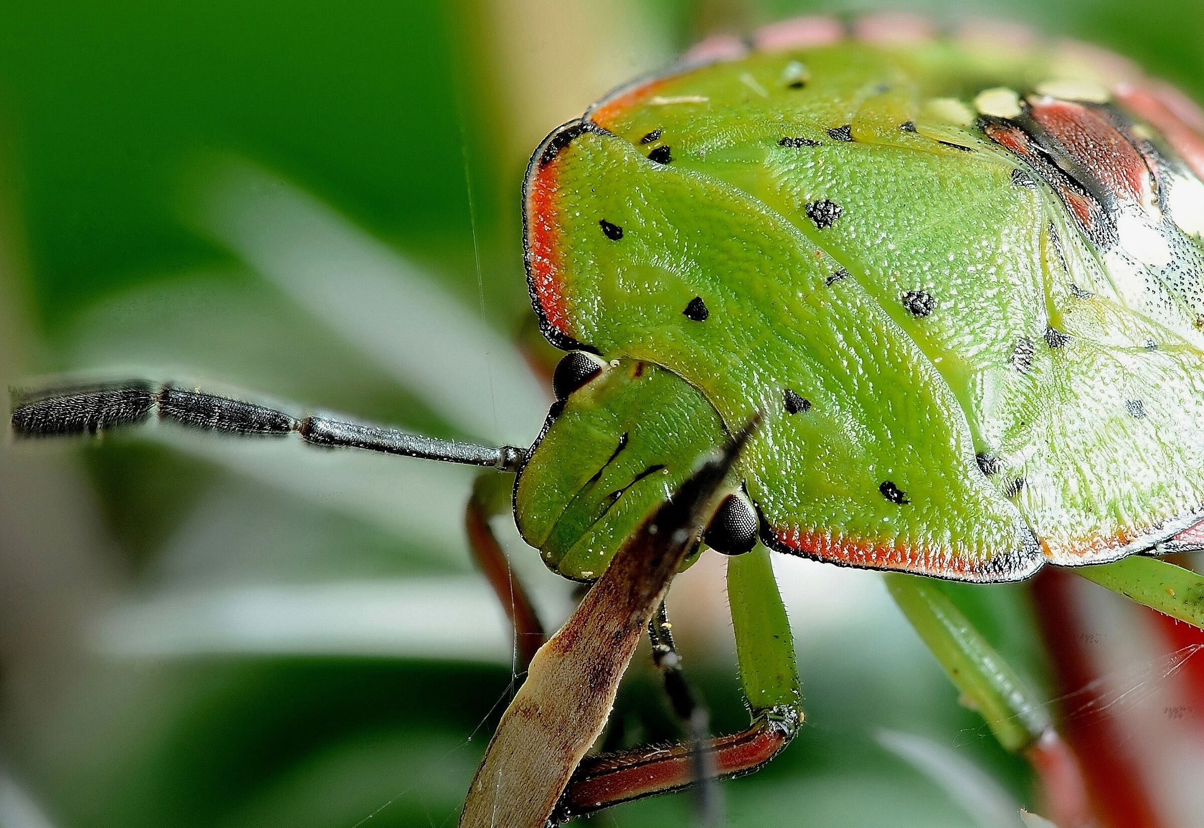 Alla fine ho vinto io!