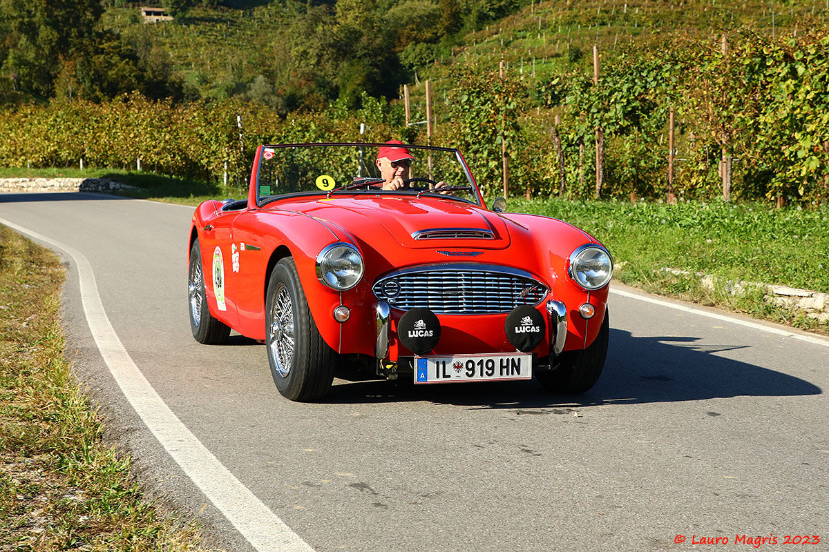 Austin Healey 100/6 BN6 from 1958