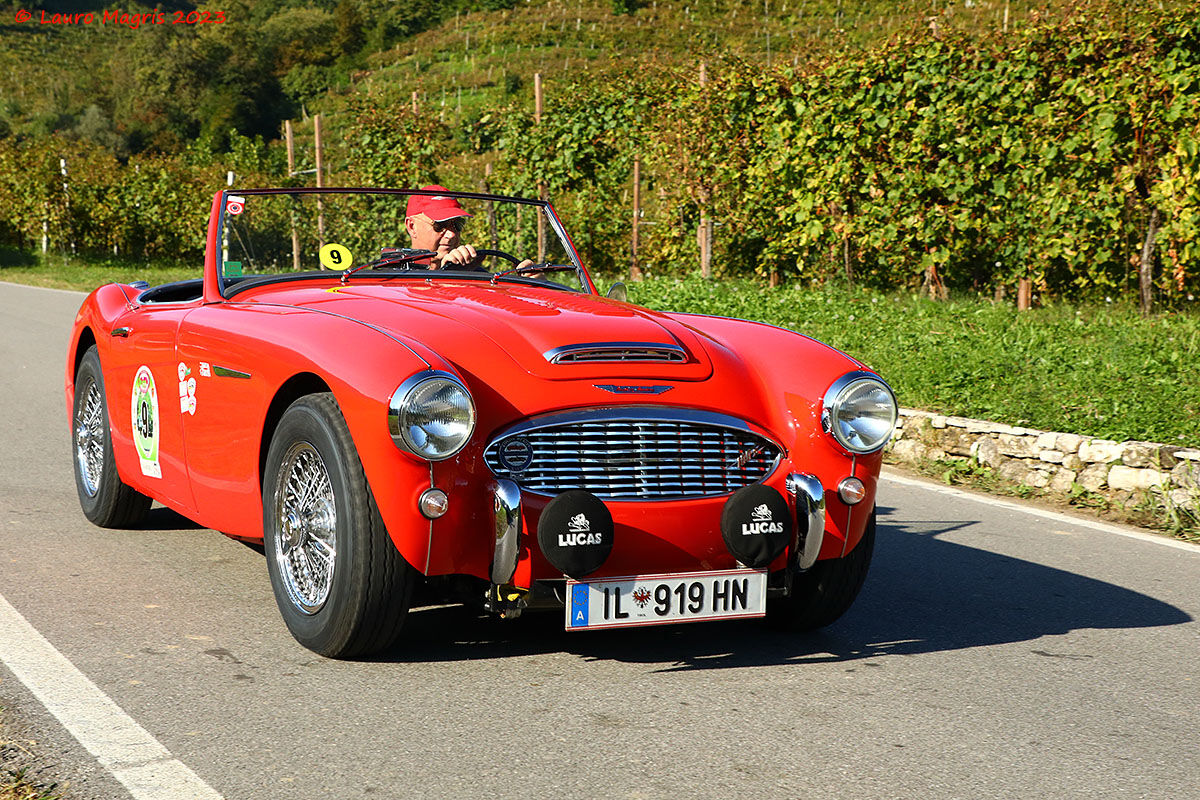 Austin-Healey 100/6 BN6 - 1958