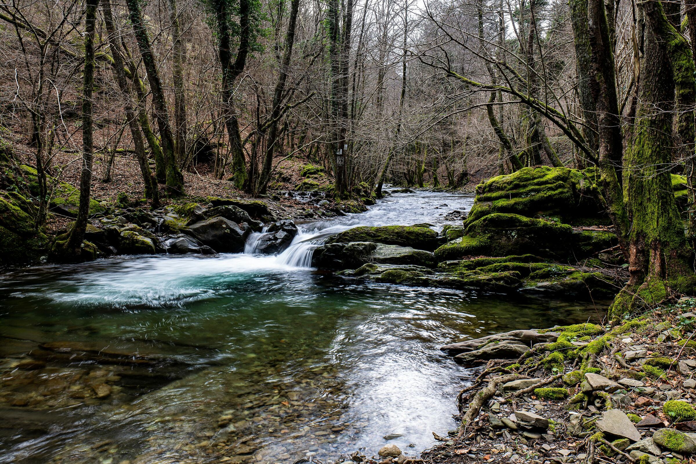 Cascatella del Limentra
