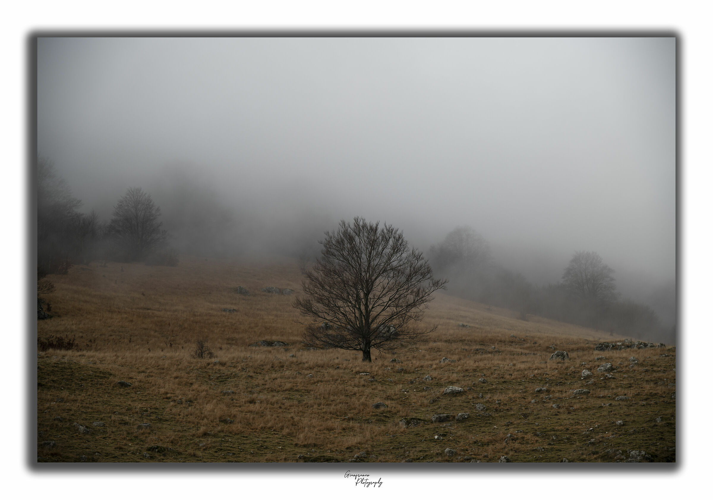 Parco nazionale Abruzzo