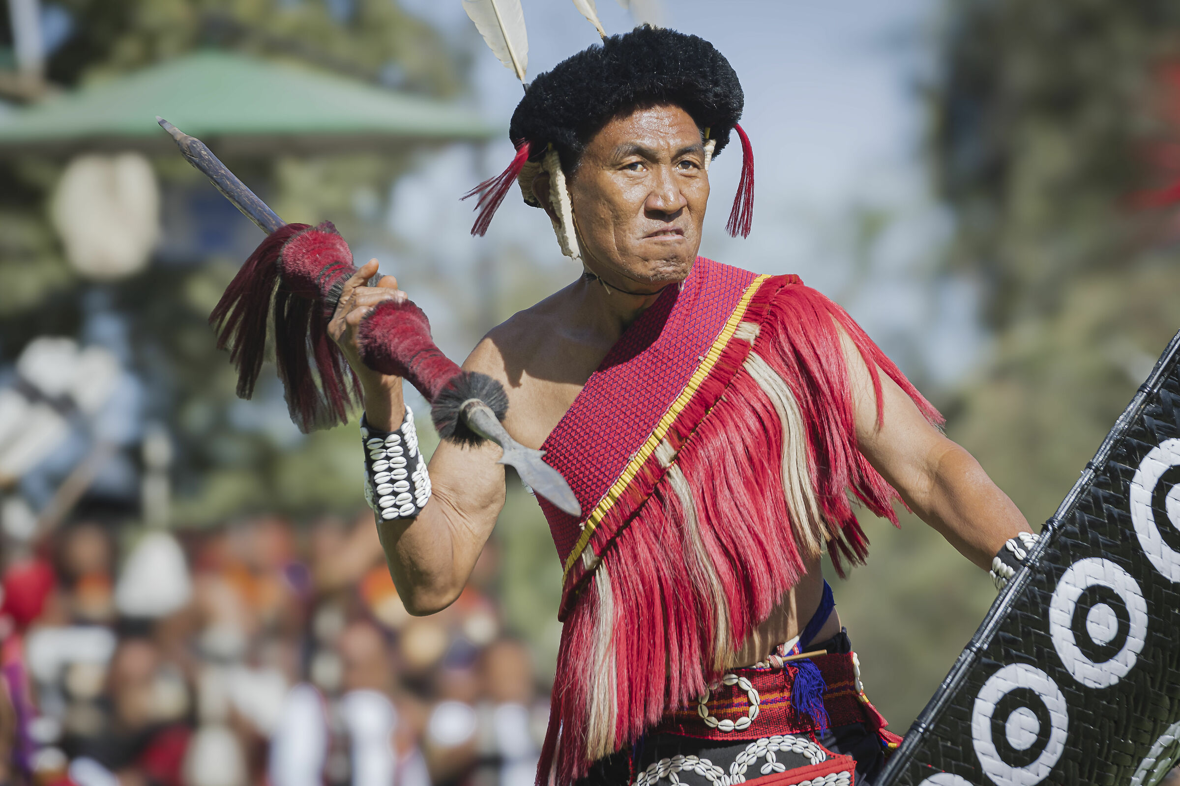 Kohima(Nagaland)Hornbill Festival