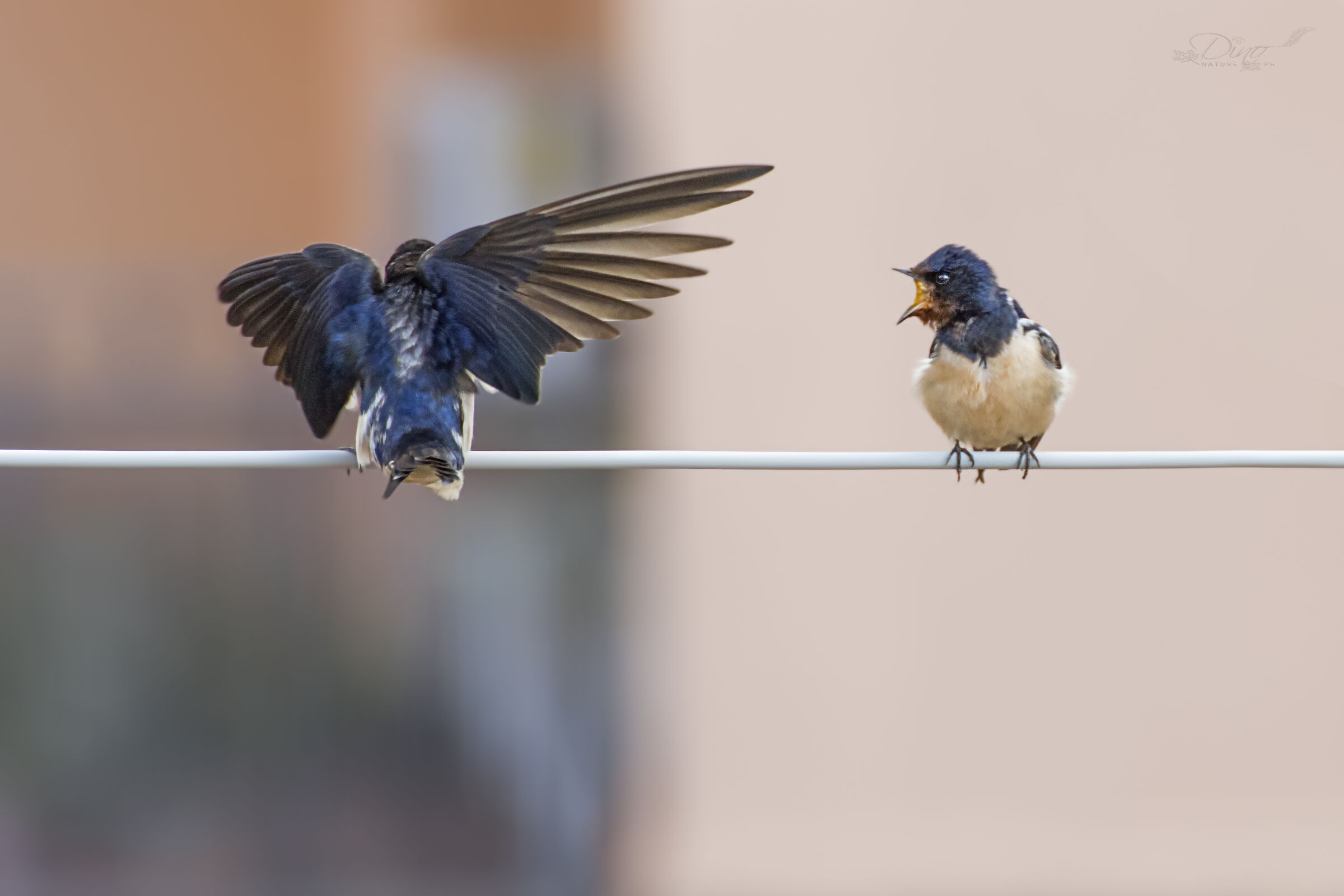 Reports... On the wire