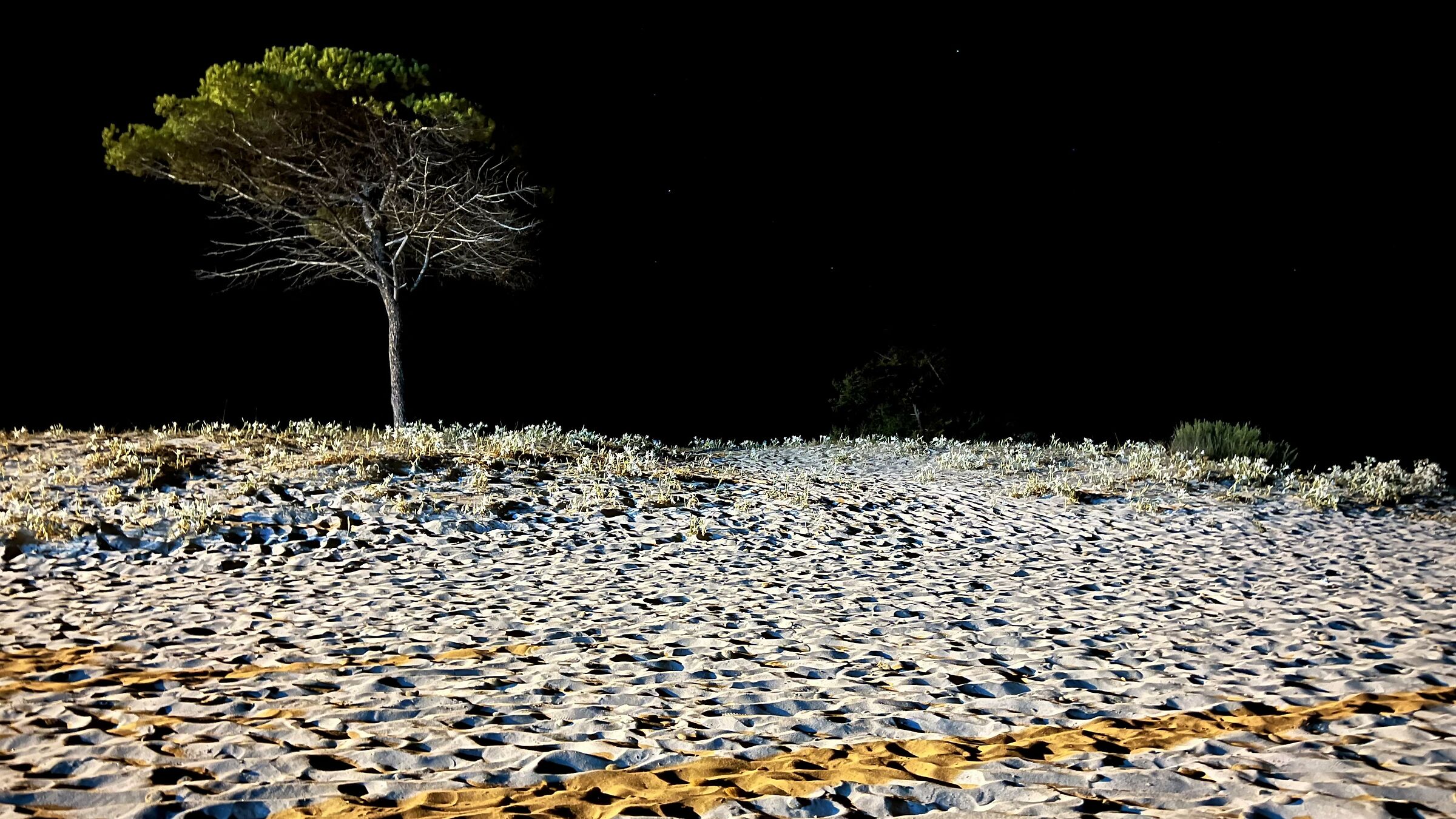 The enchantment of the night