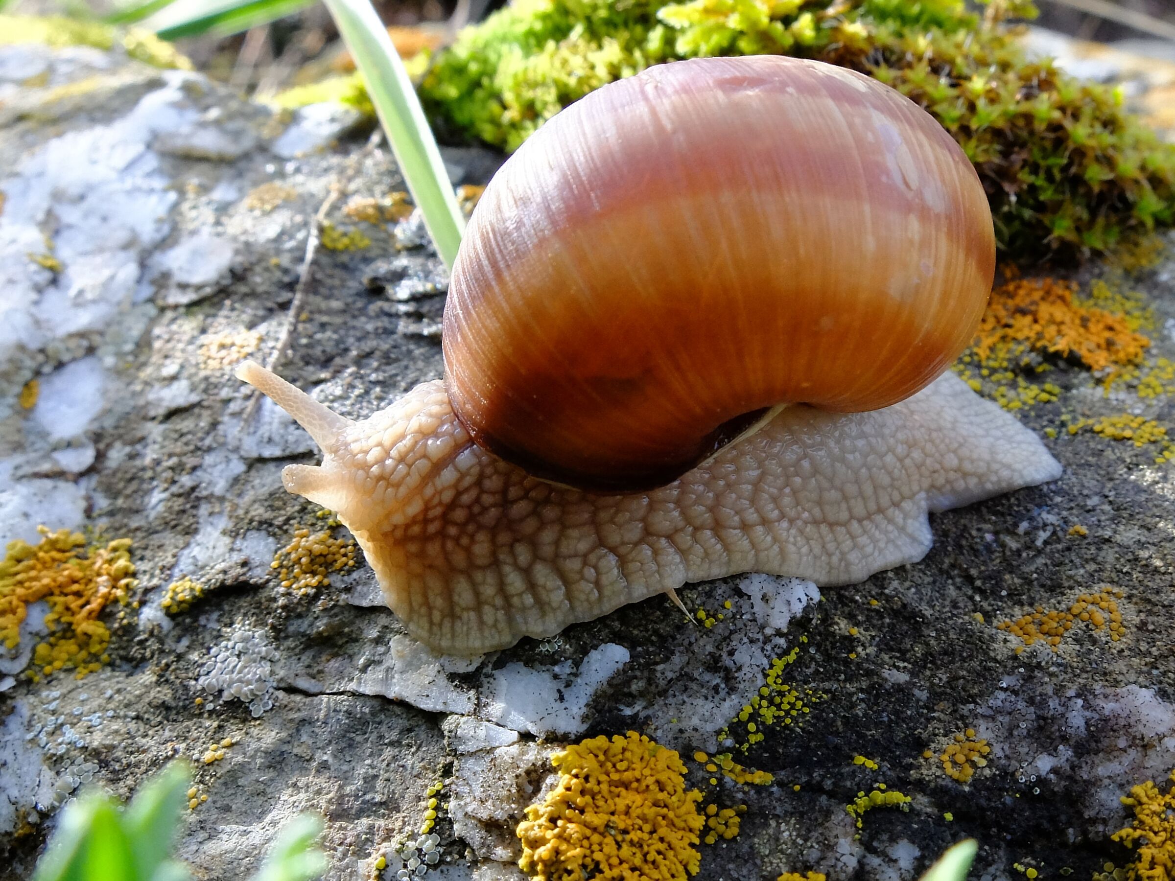 a spasso in Alto Adige
