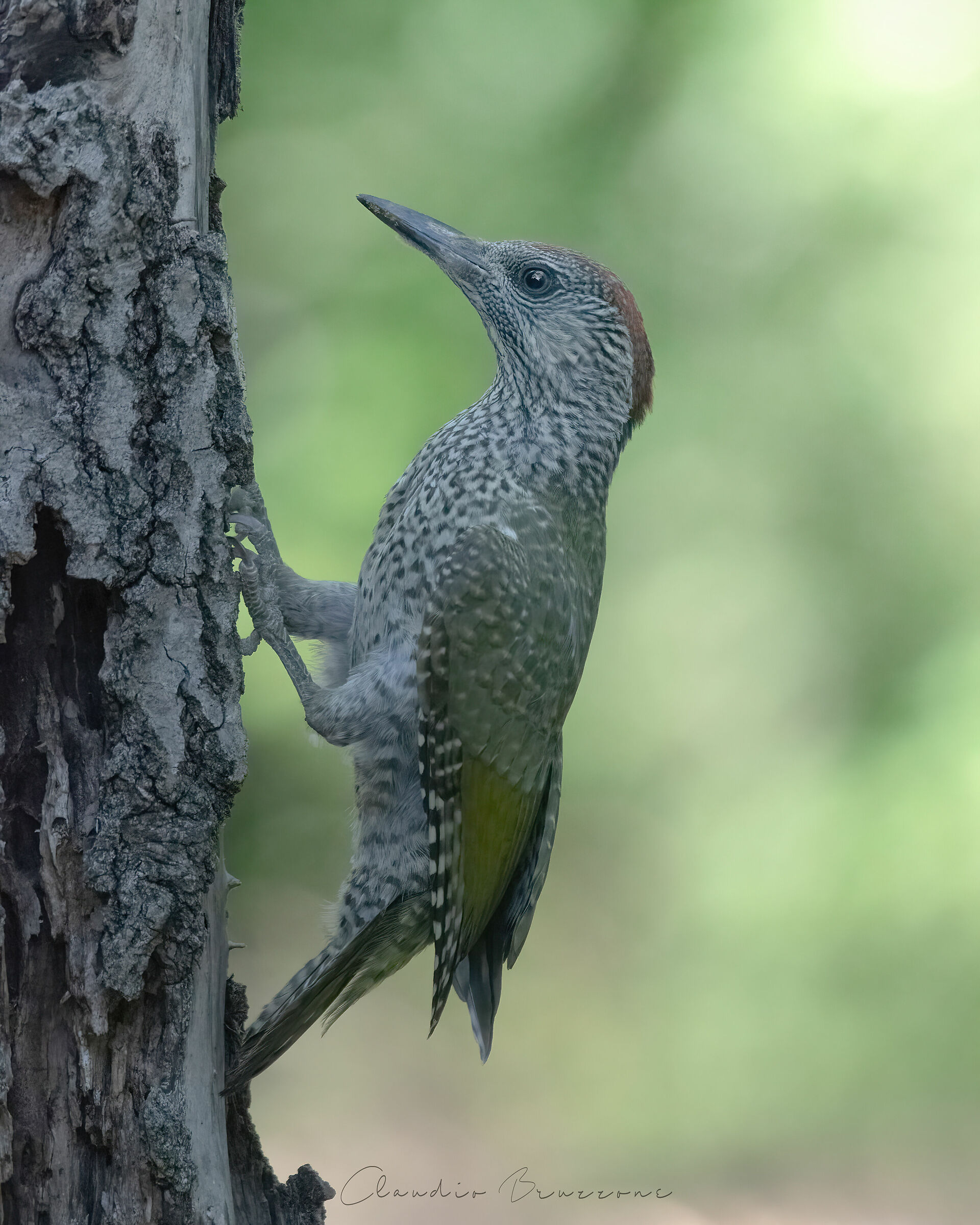 Uno sguardo verso l'alto