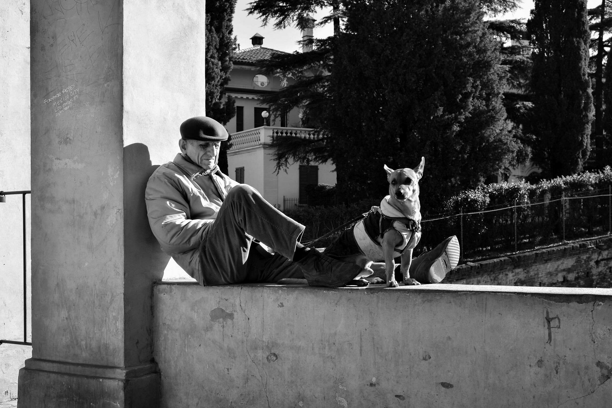 e' ancora vita