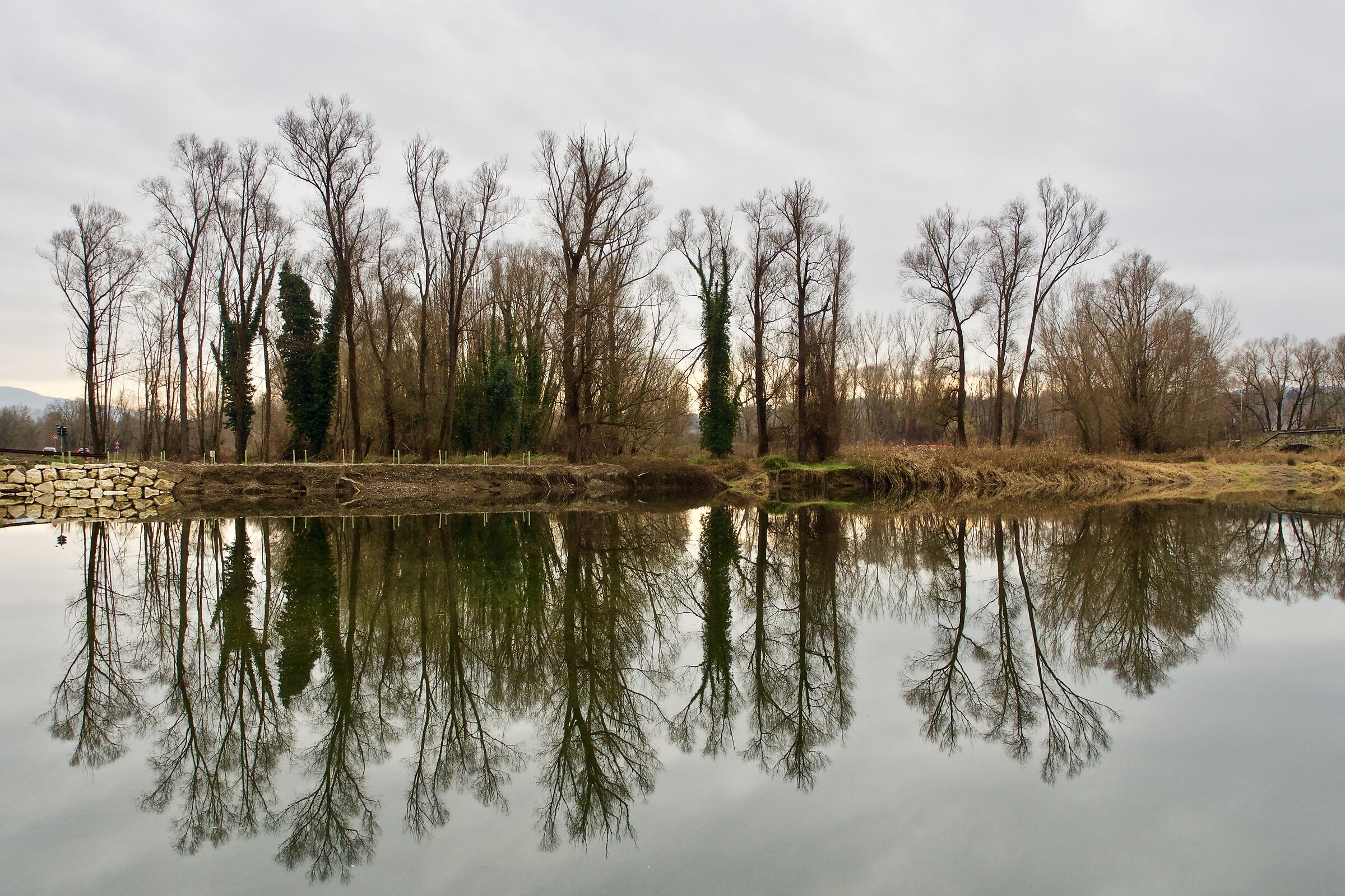 Riflessi invernali sull'Arno