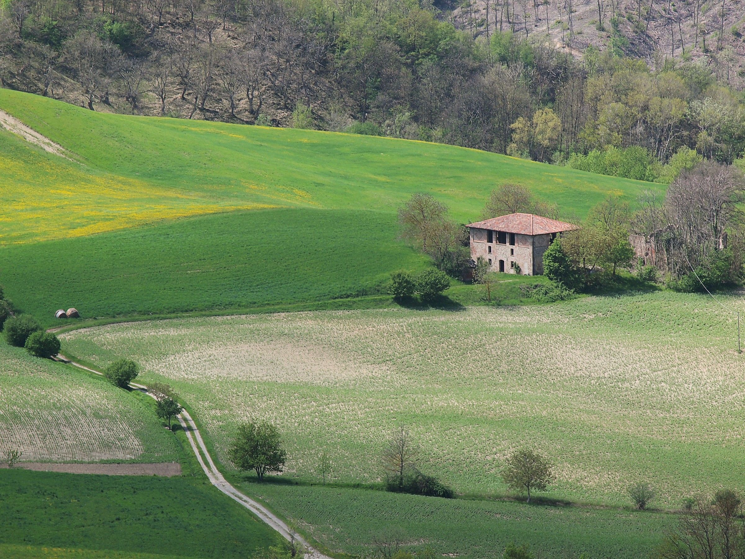 In the valley there is a cottage