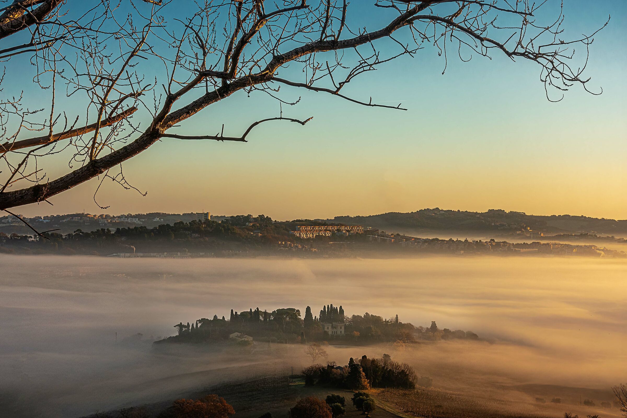 Morning Fog