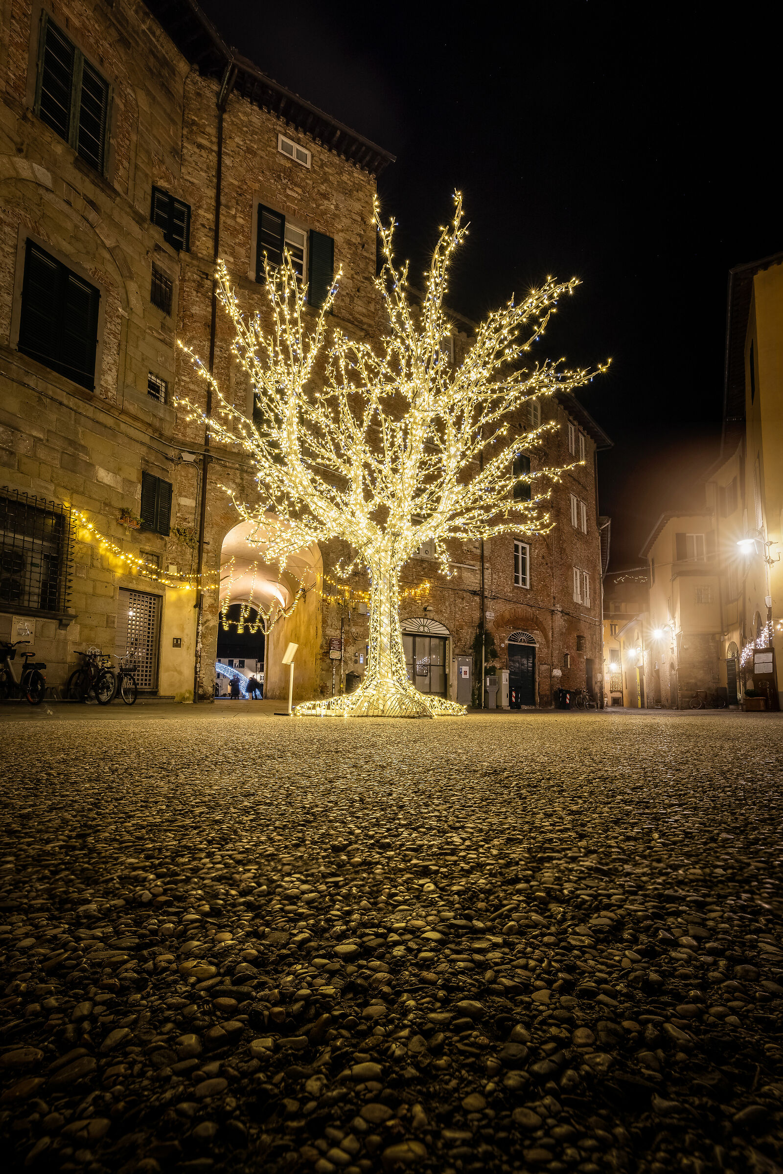 Last Christmas light