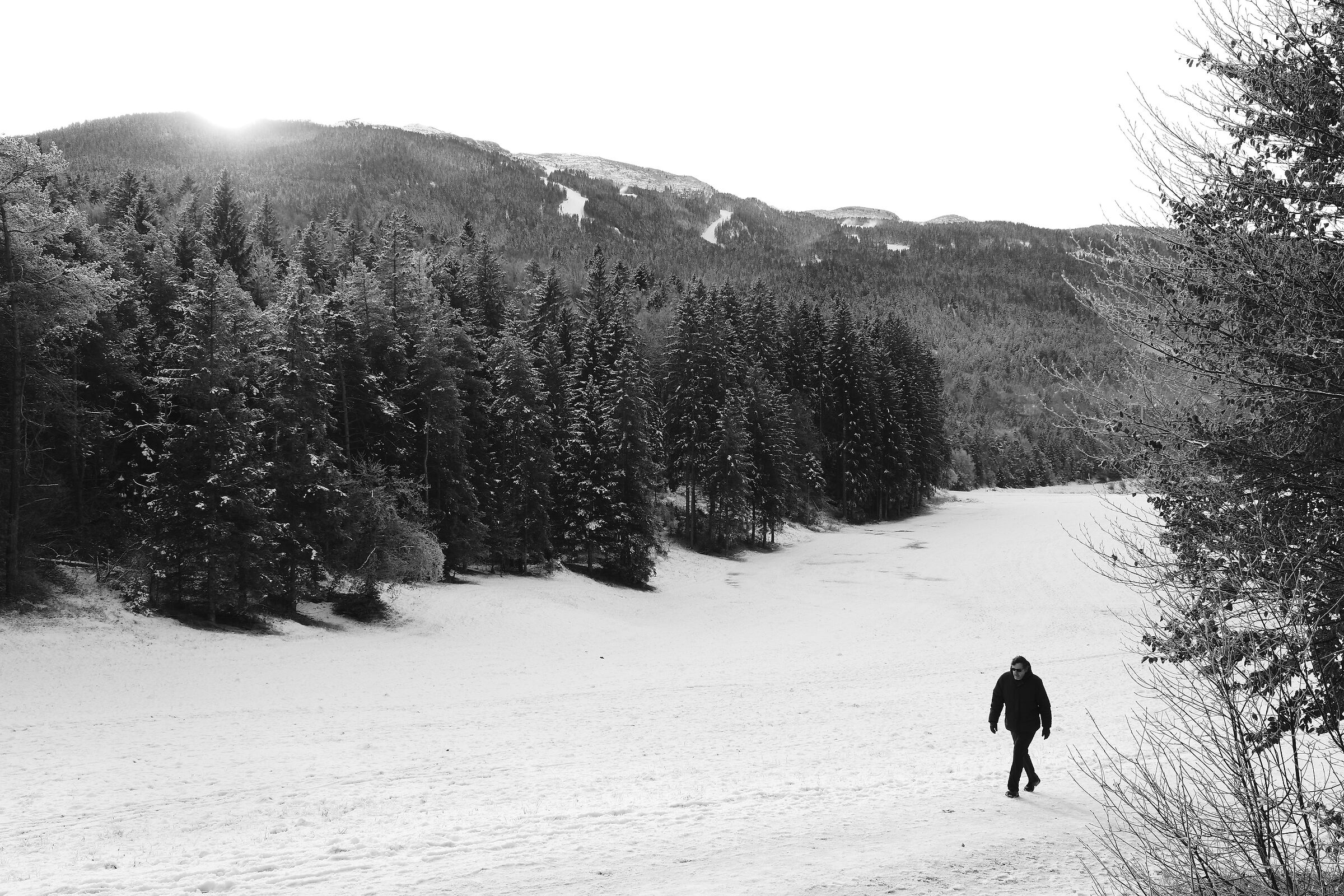 Walking in the snow