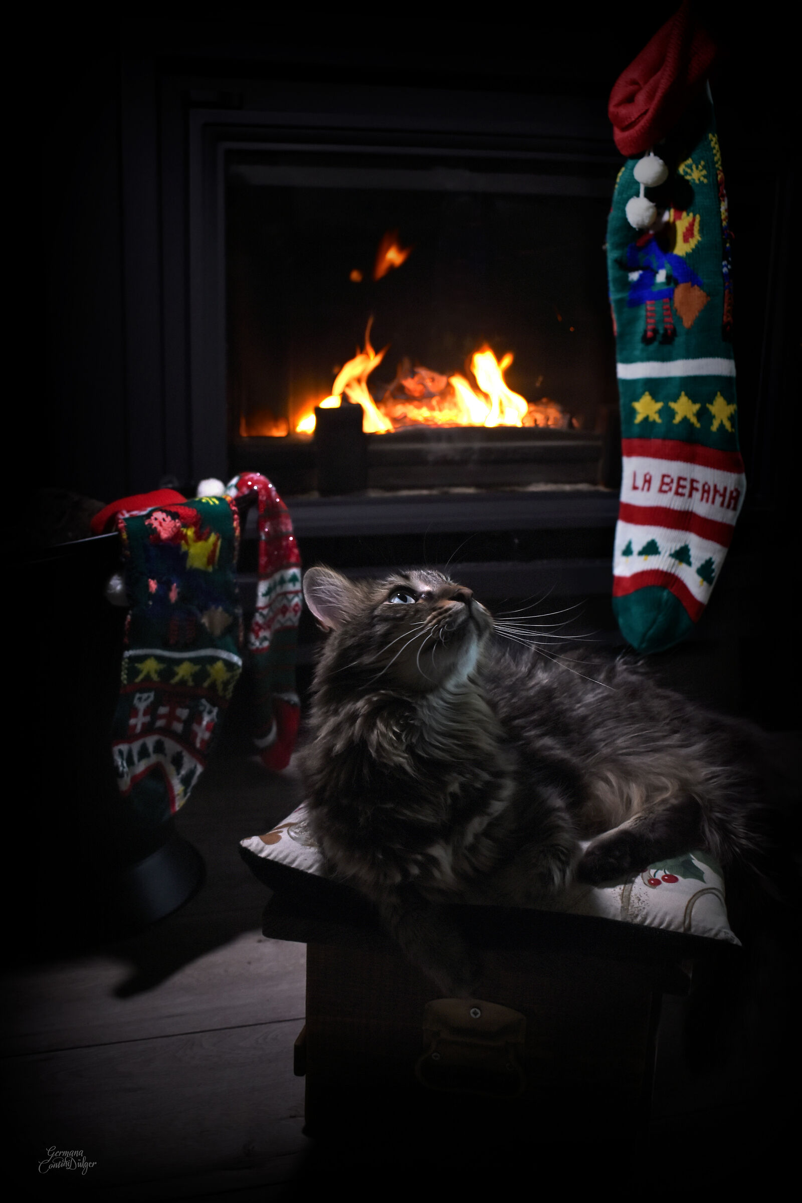 Le calze per la befana sono appese