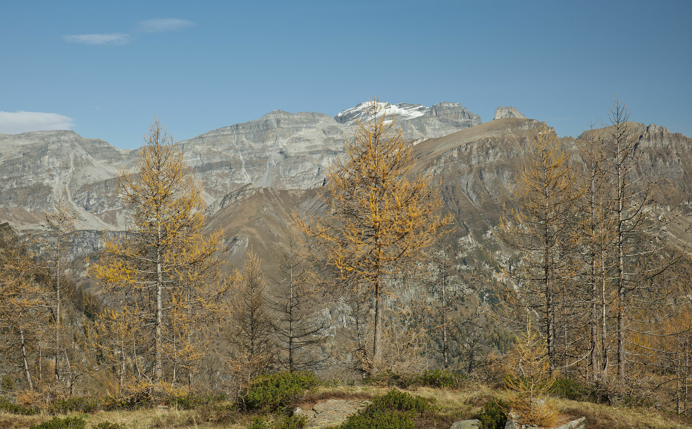 autumn in Valdivedro 2022