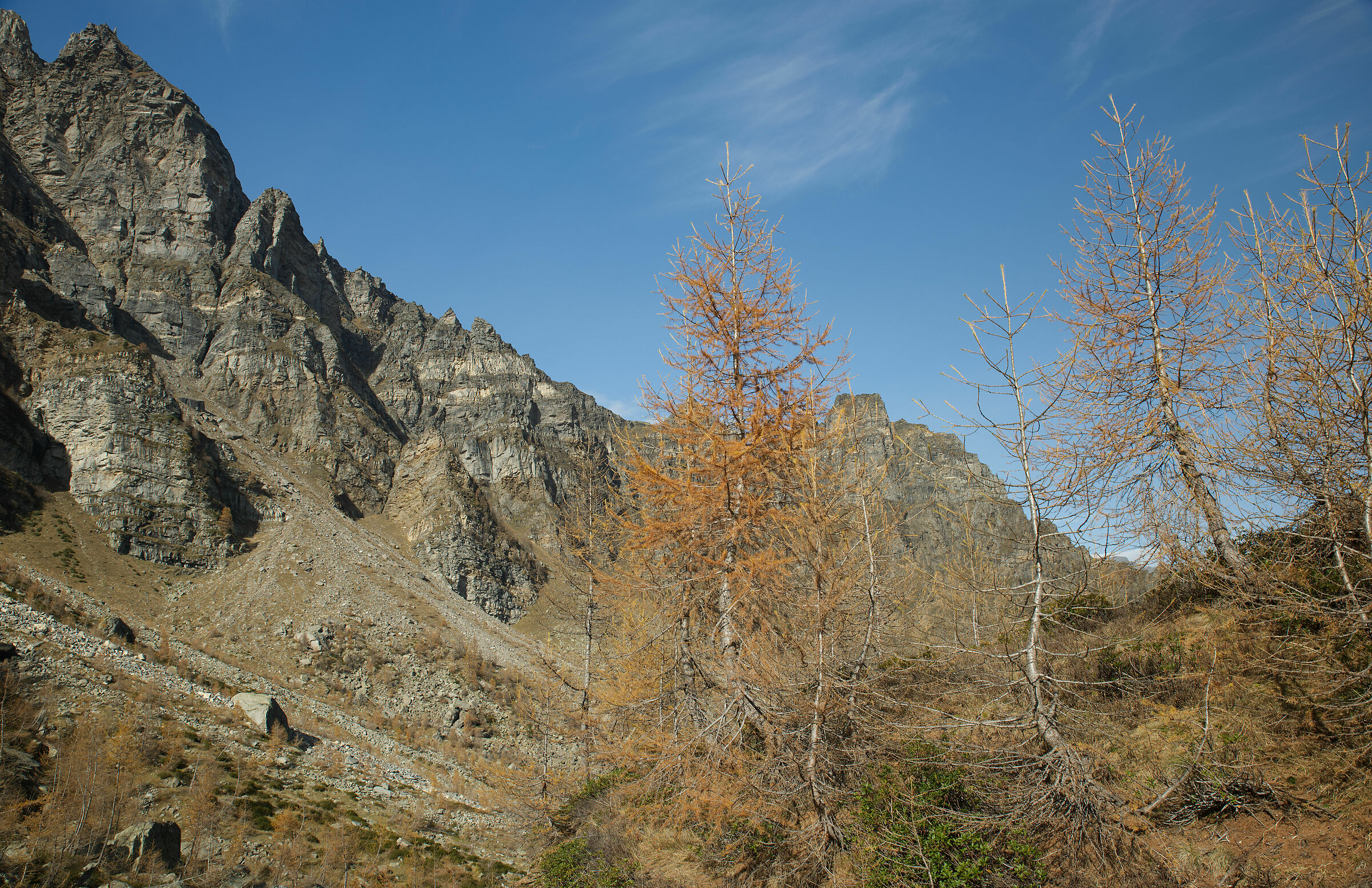 autumn in Valdivedro 2022