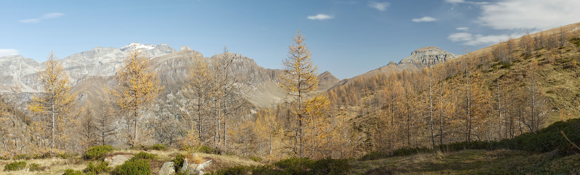 autumn in Valdivedro 2022