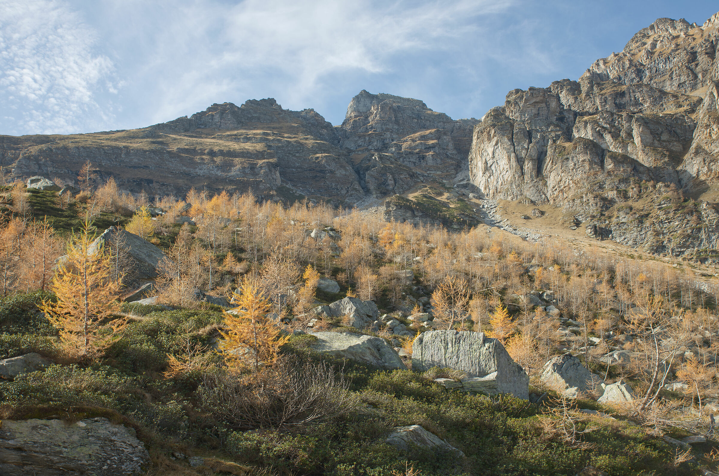 autumn in Valdivedro 2022 descending from Alpe Balmelle