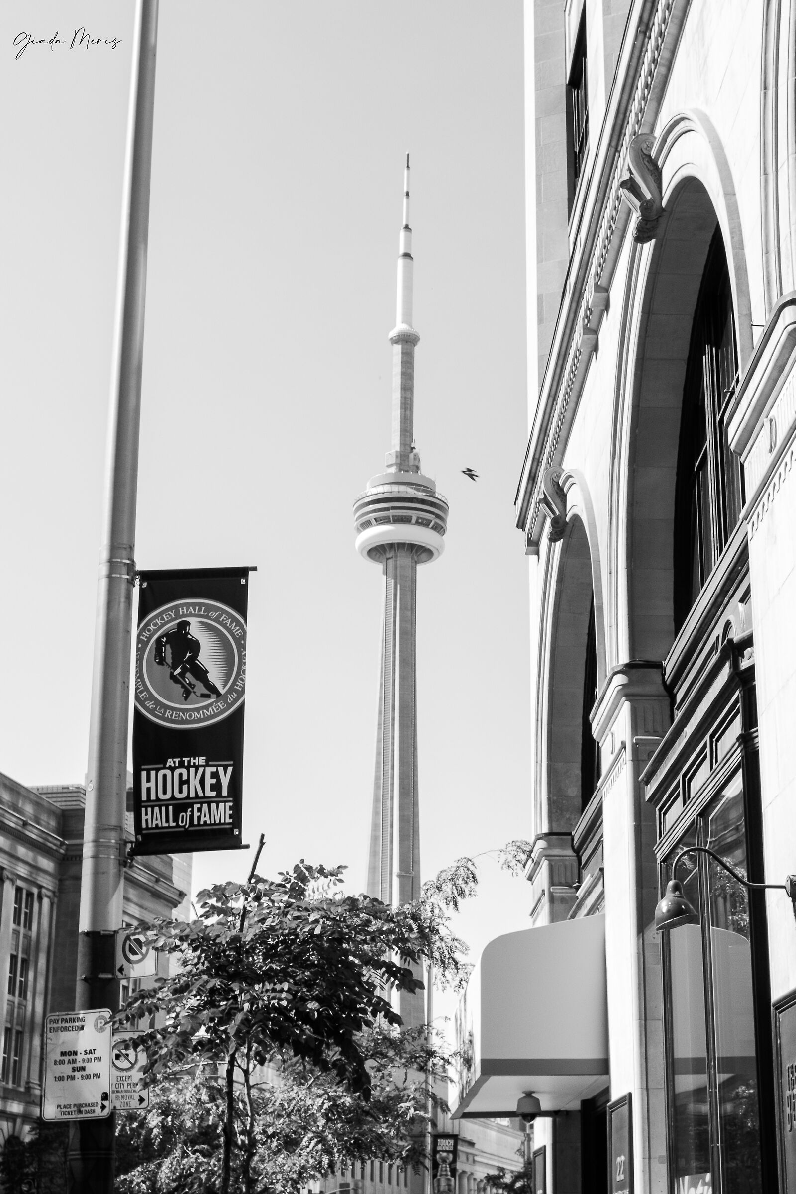 Cn tower Toronto