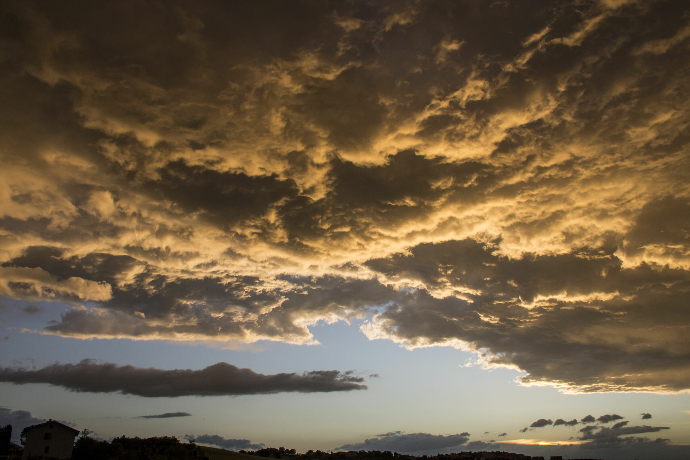 Waiting for the sunset