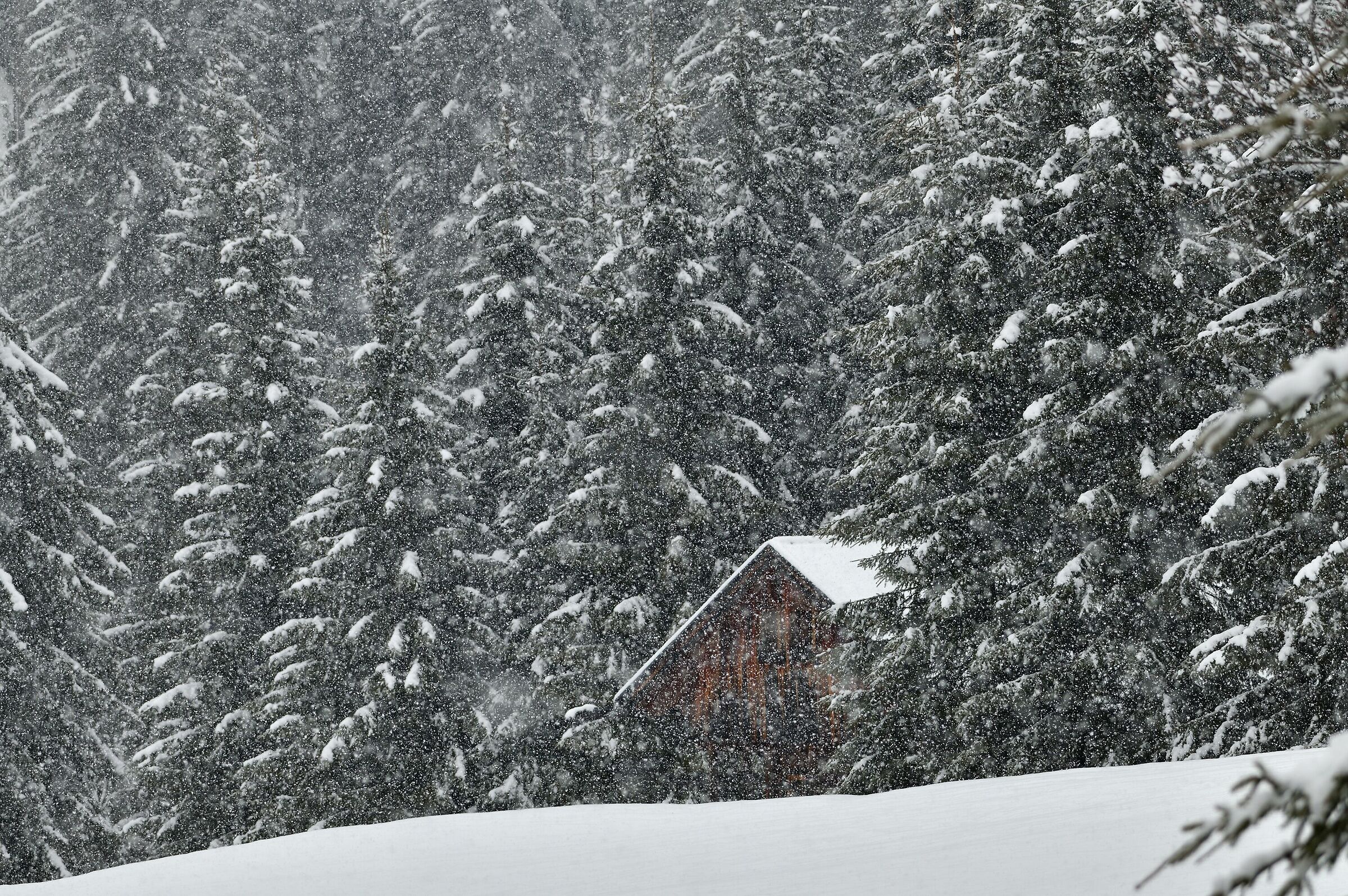 finalmente nevica ...