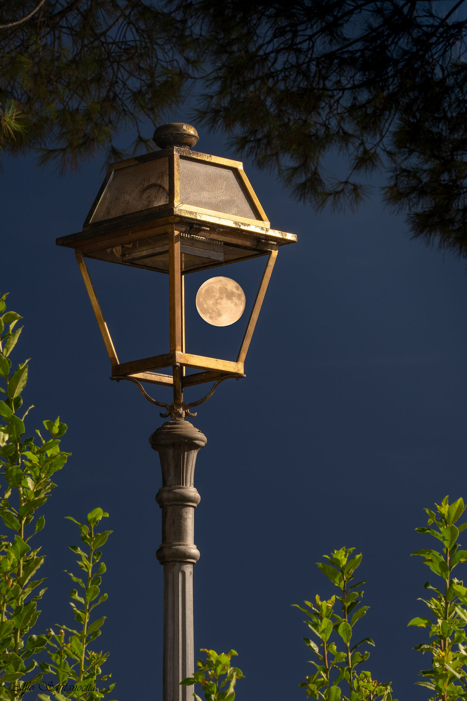 Energy saving in Rome