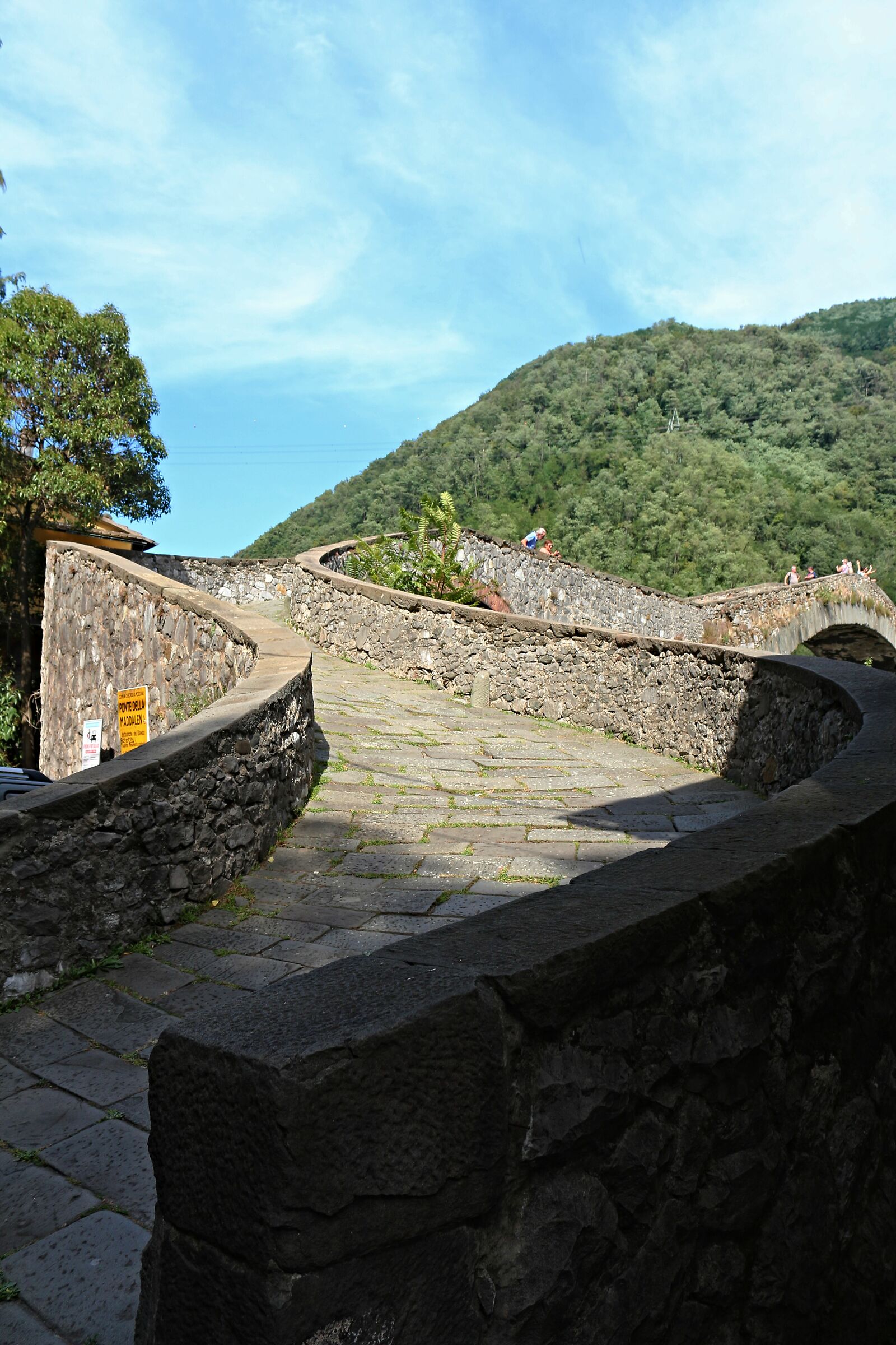 Access path to the bridge, with chicane.