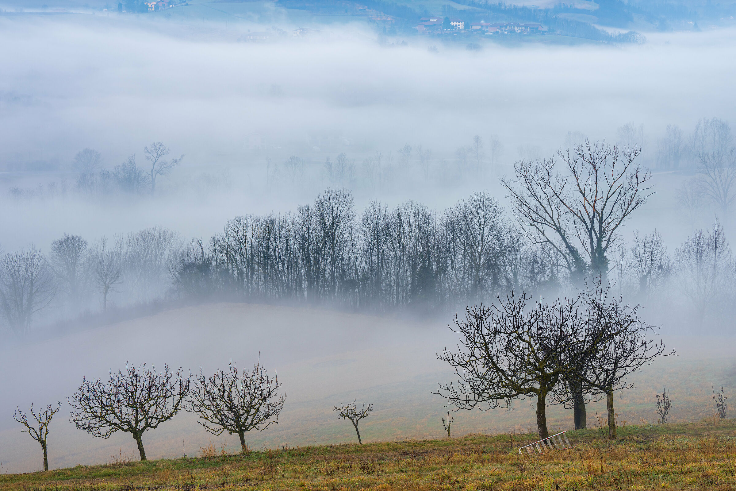 Nebbia in collina