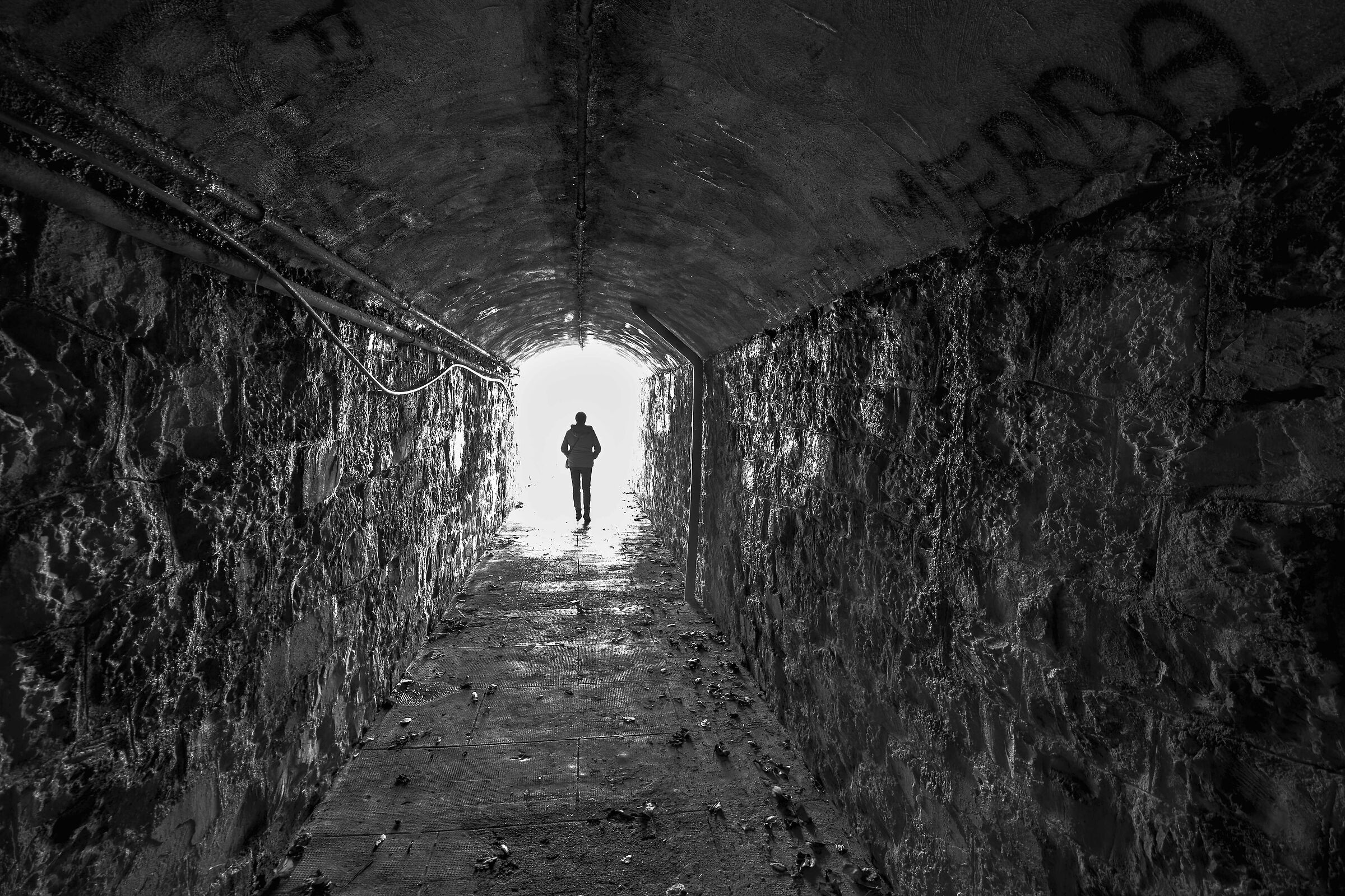 La vita è una grande avventura verso la luce