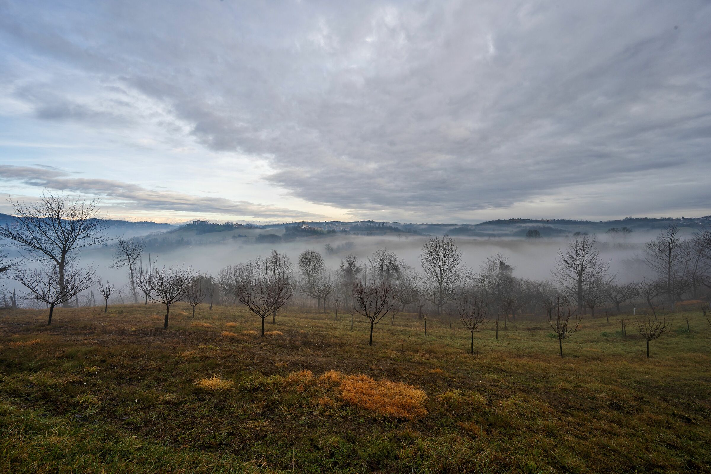 Nebbia in collina