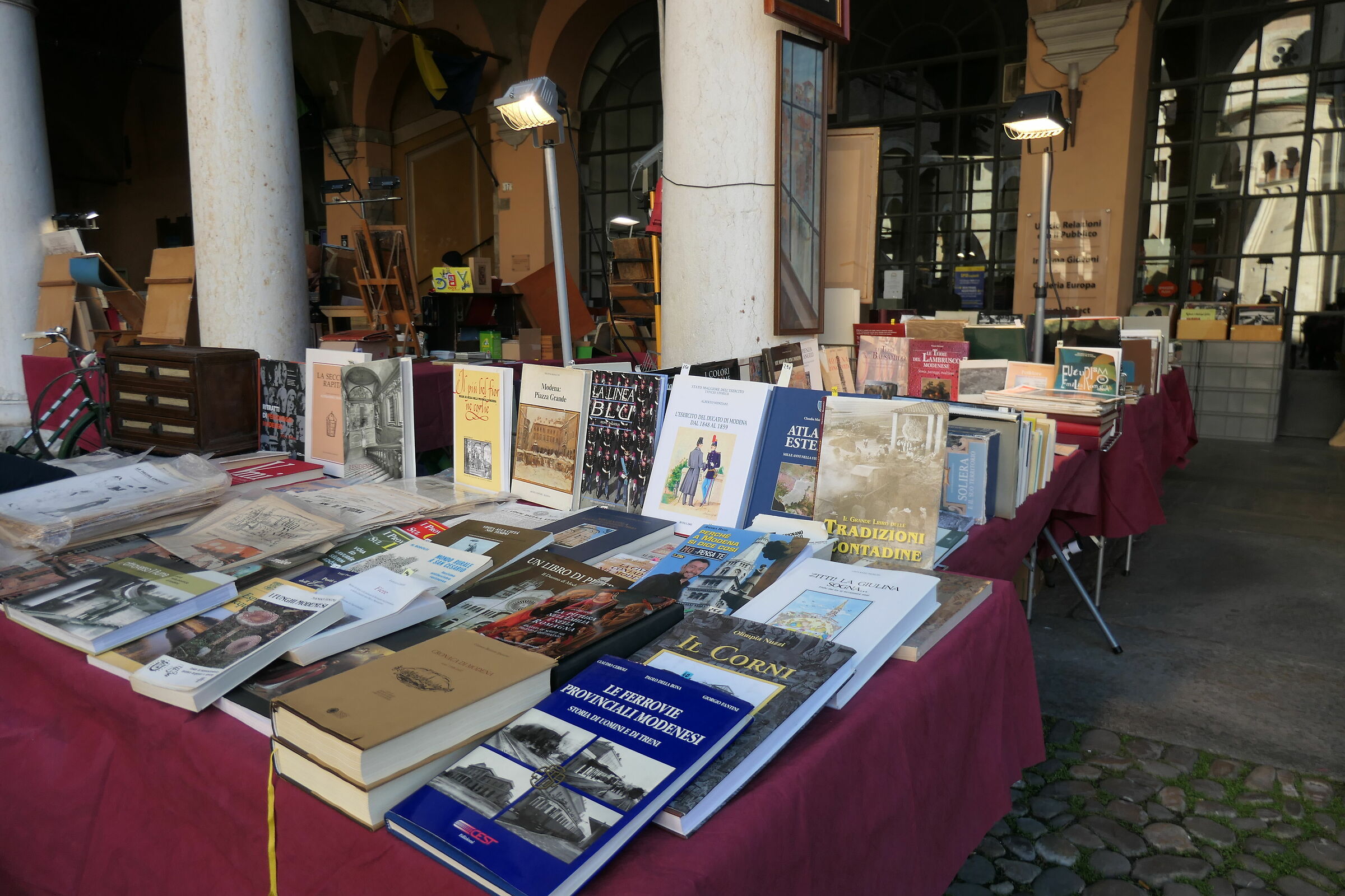 Modena sui libri