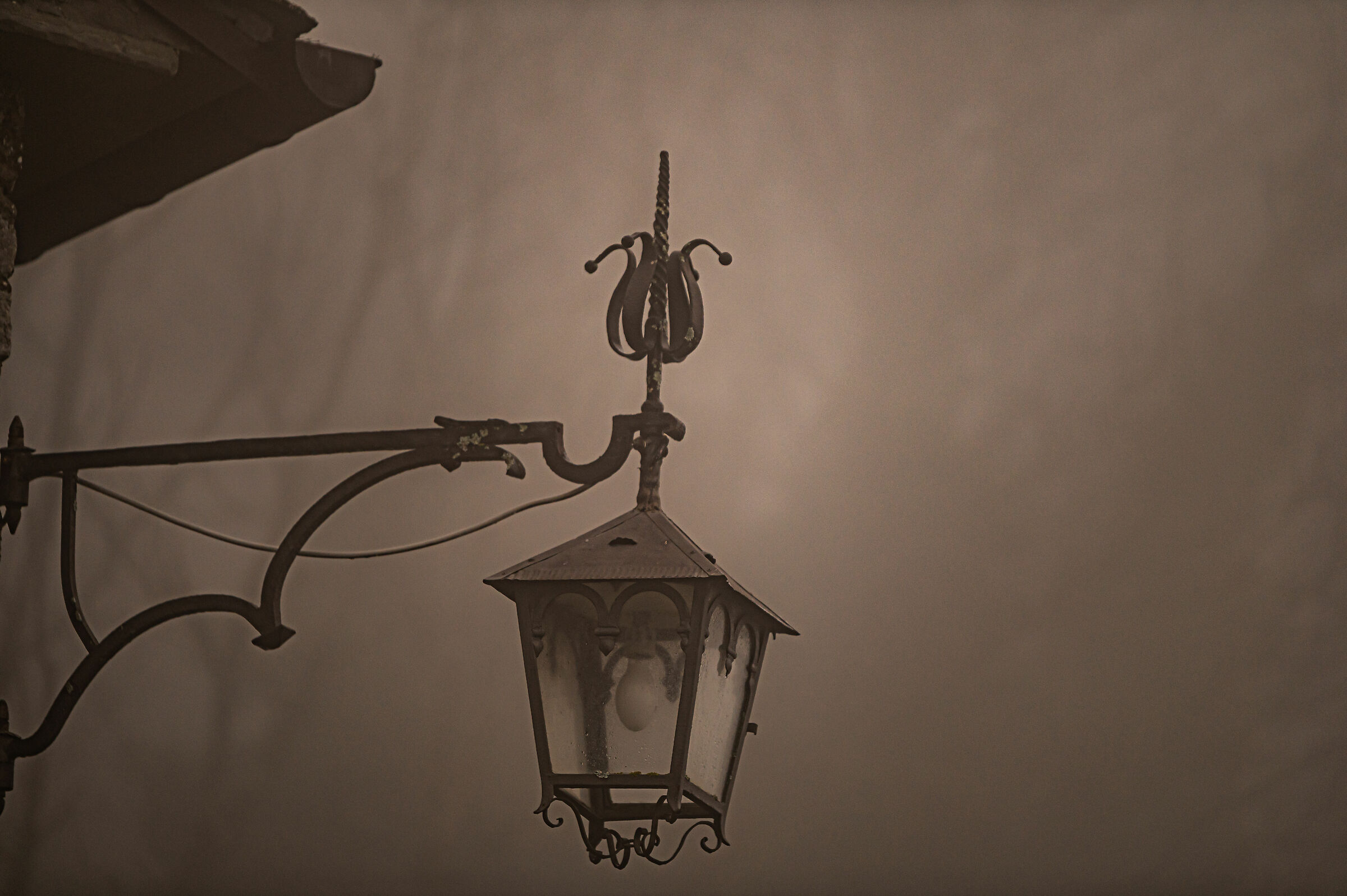 In the nebbia_3