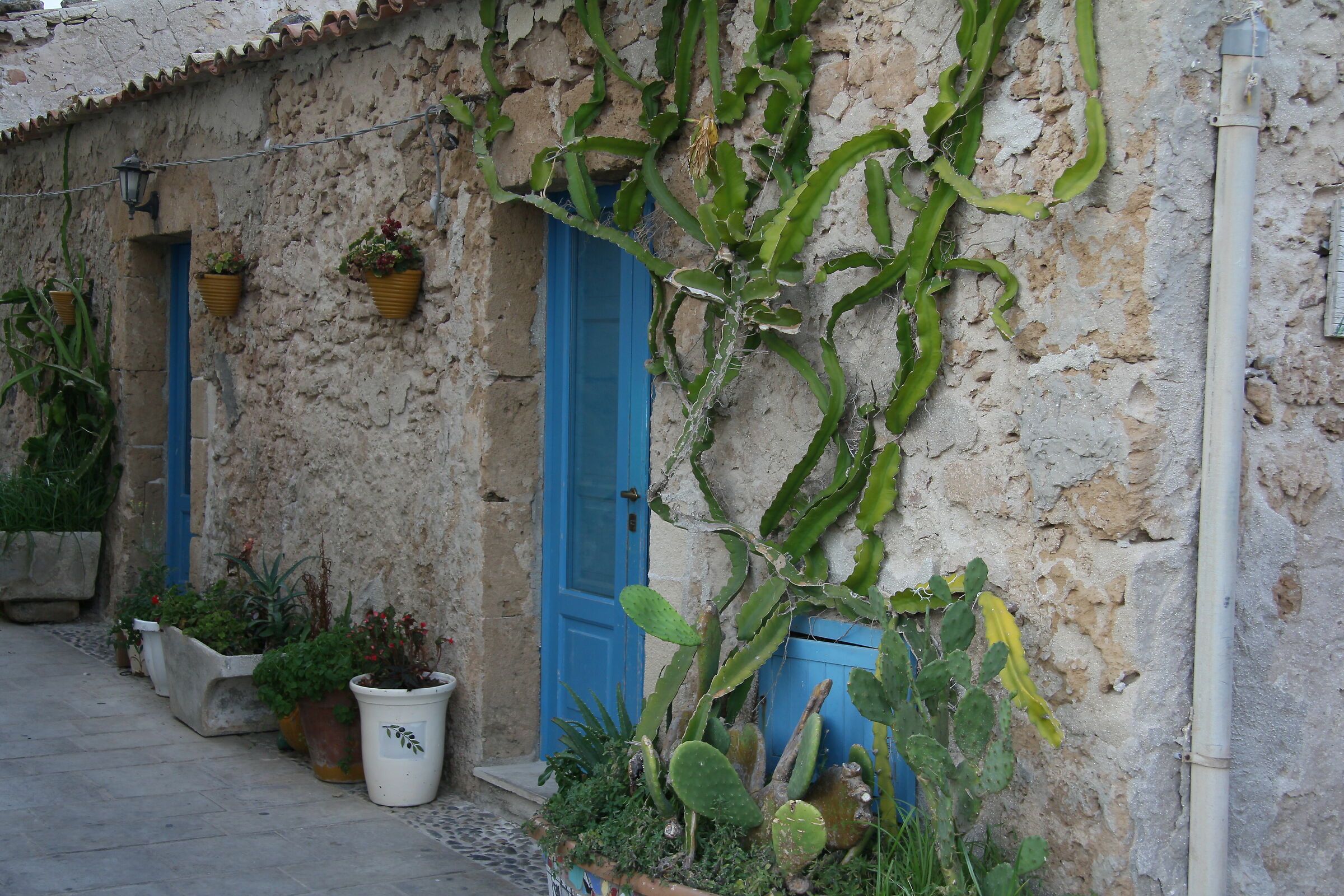 A "Sicily" point of view