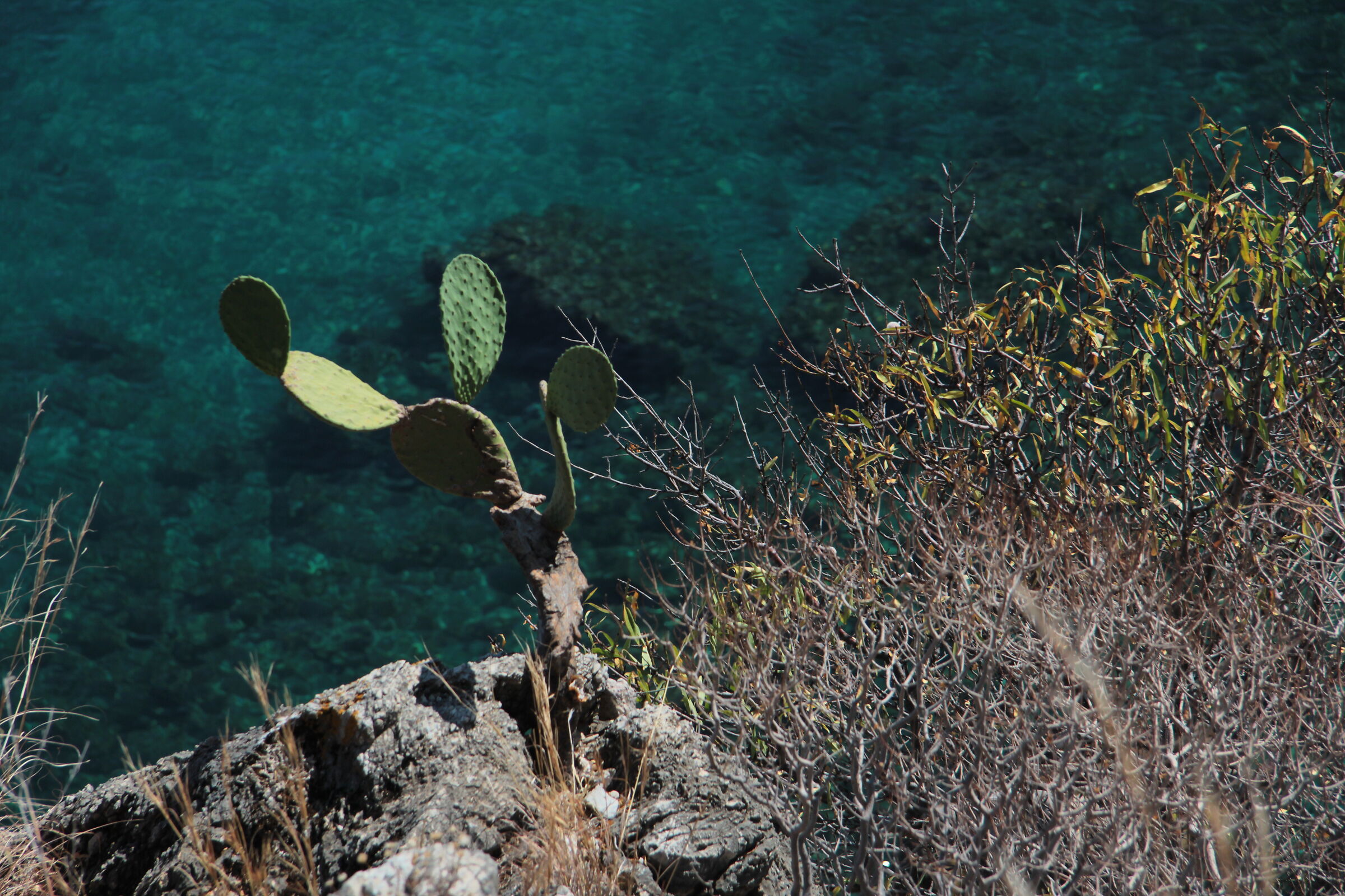 A "Sicily" point of view