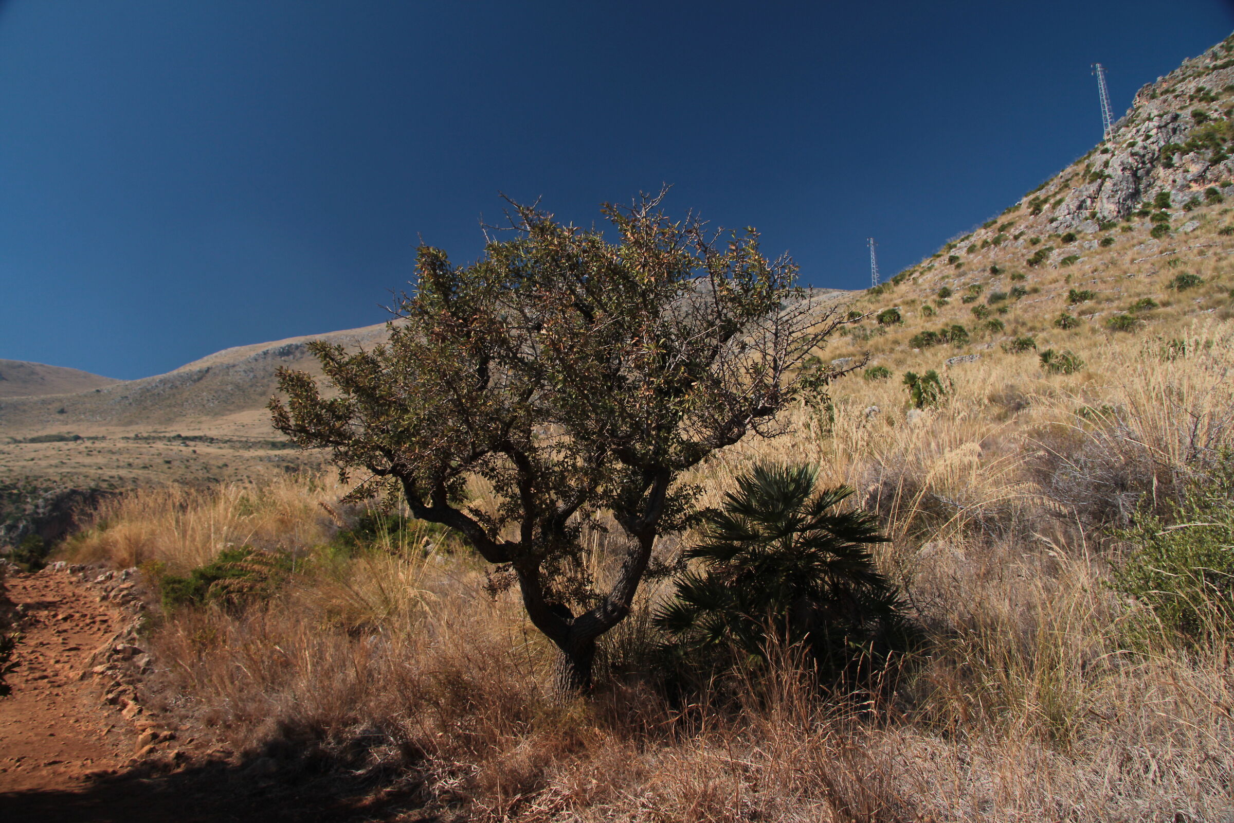 A "Sicily" point of view