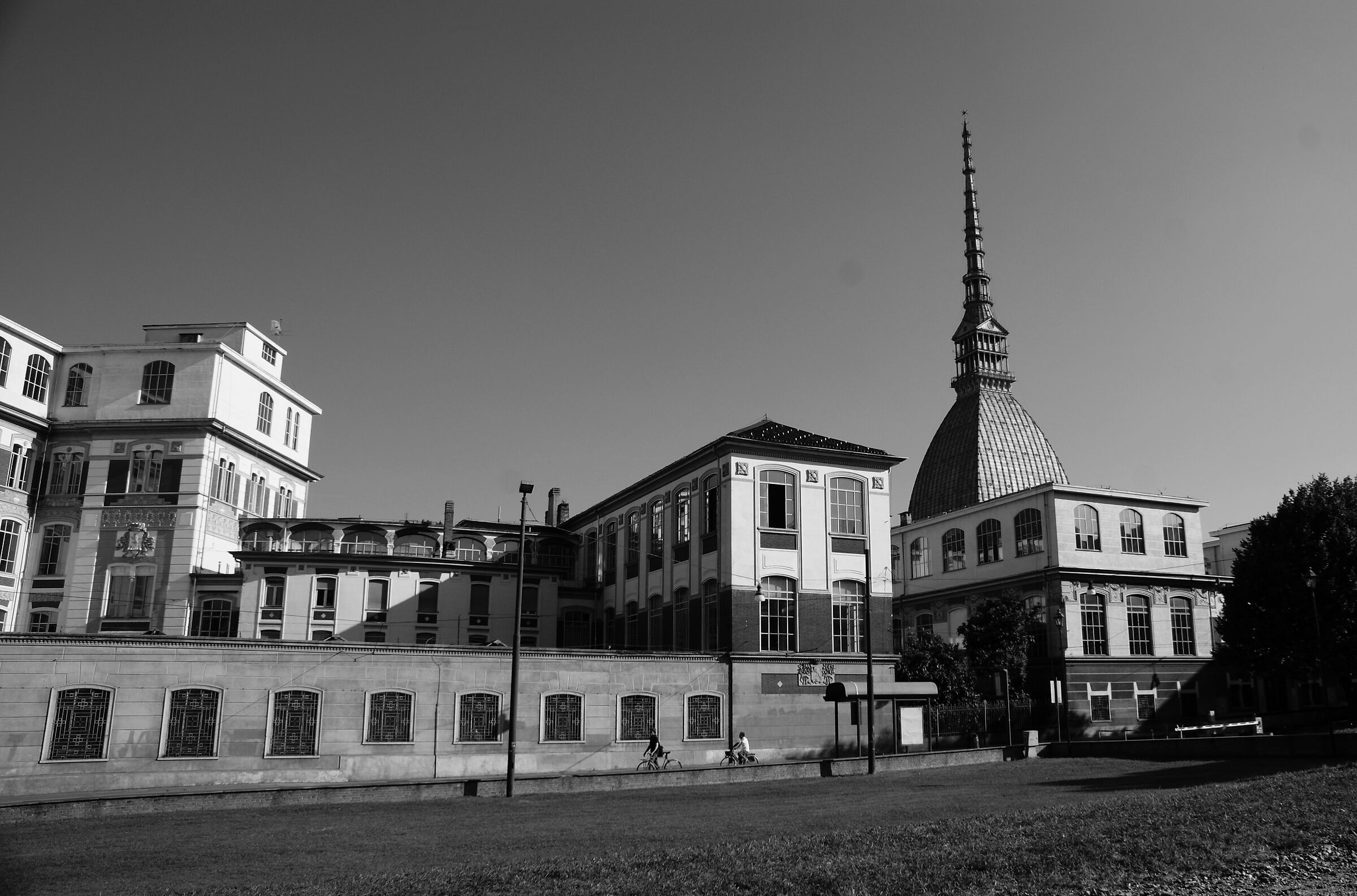Untitled Photo