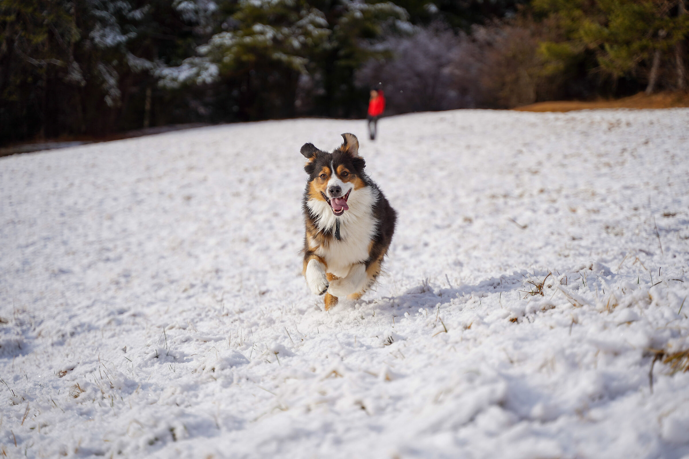 Did you say snow?